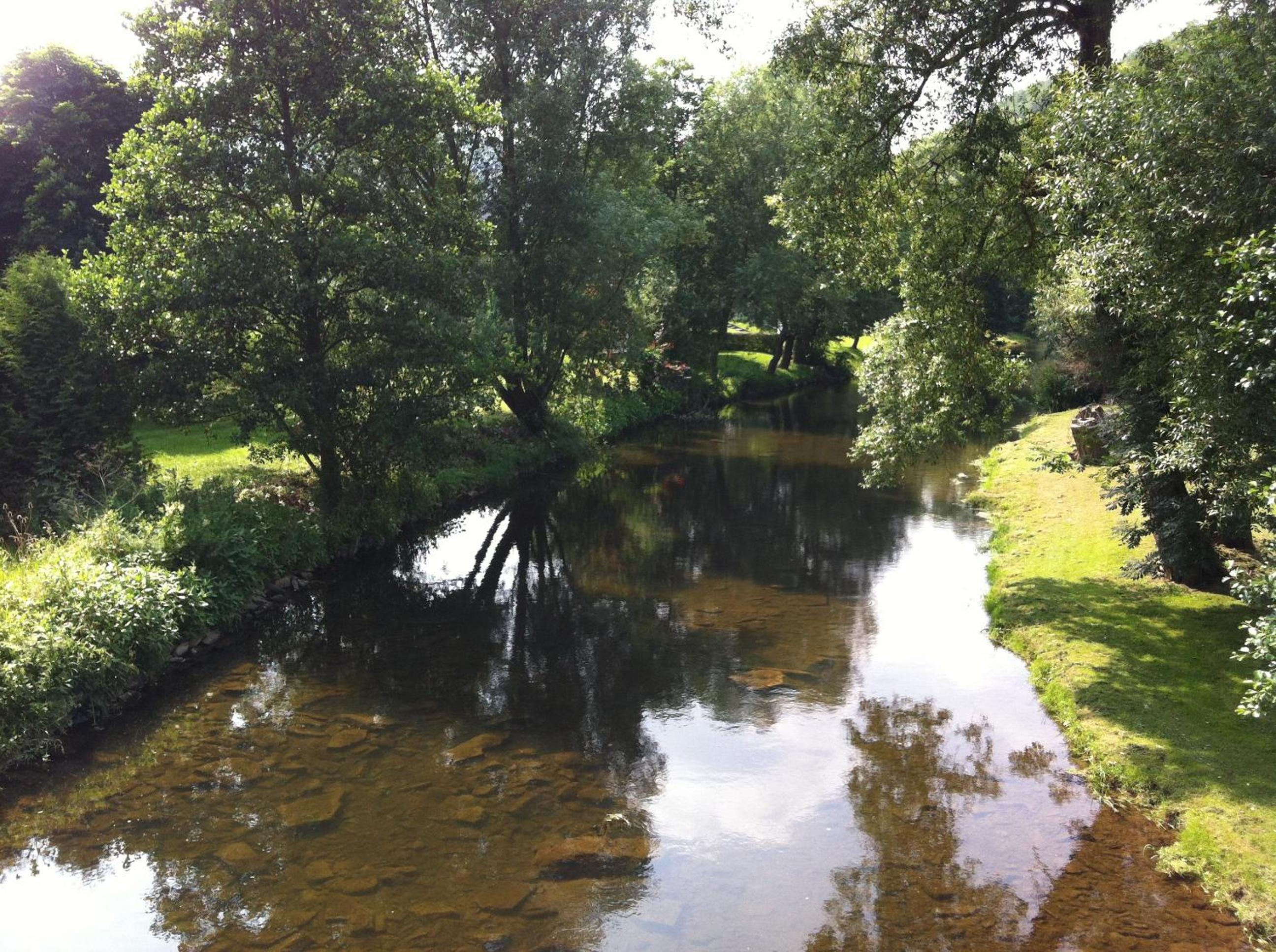Photo 11