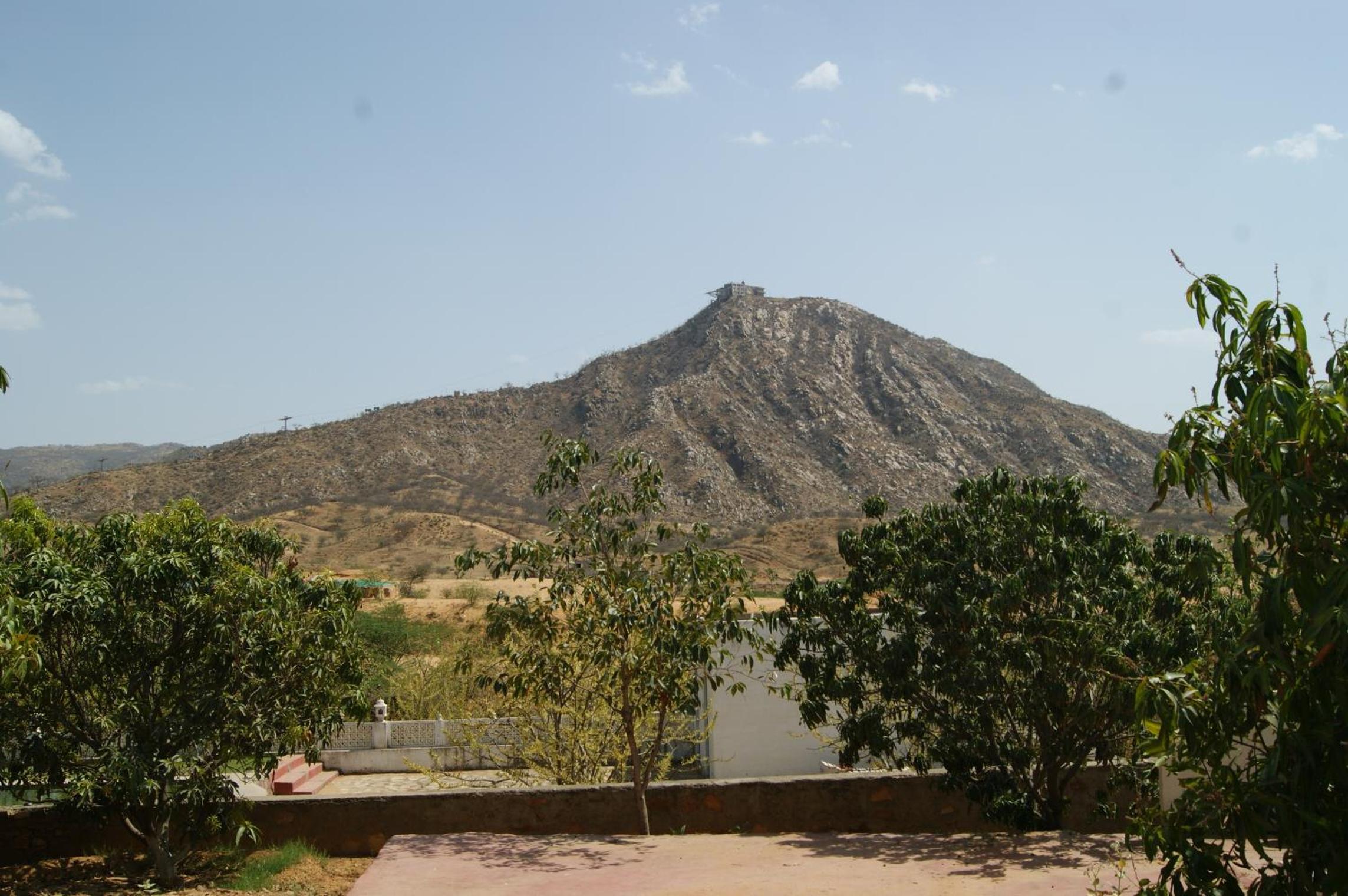 Photo 6