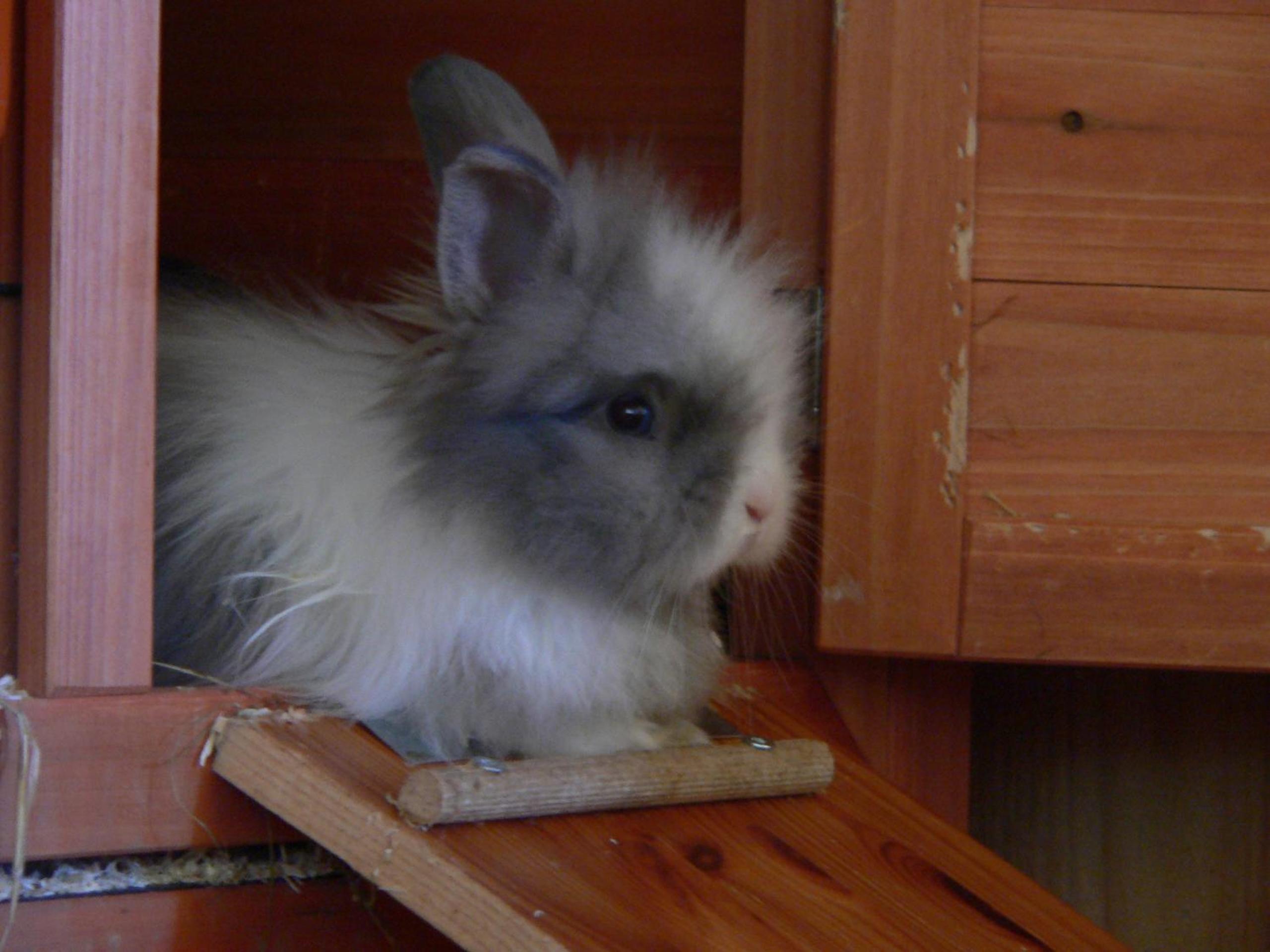 Photo 35