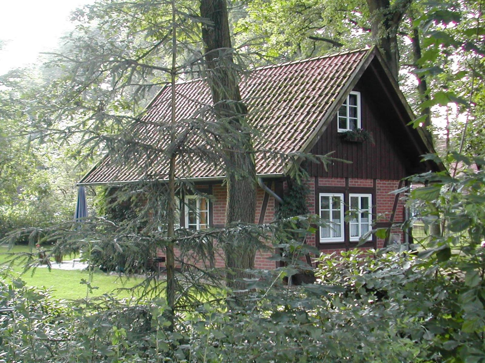 Photo 31