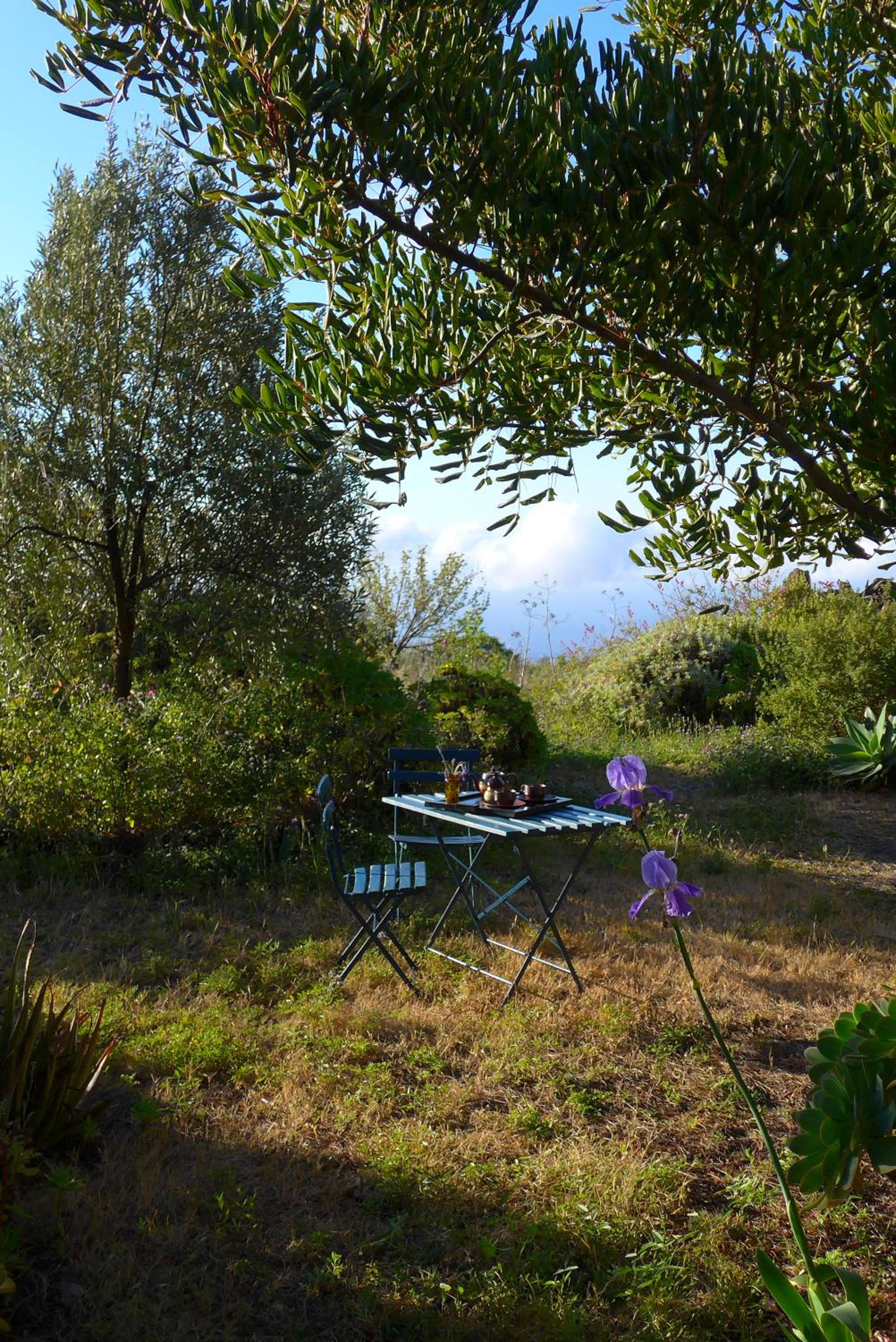 Photo 15