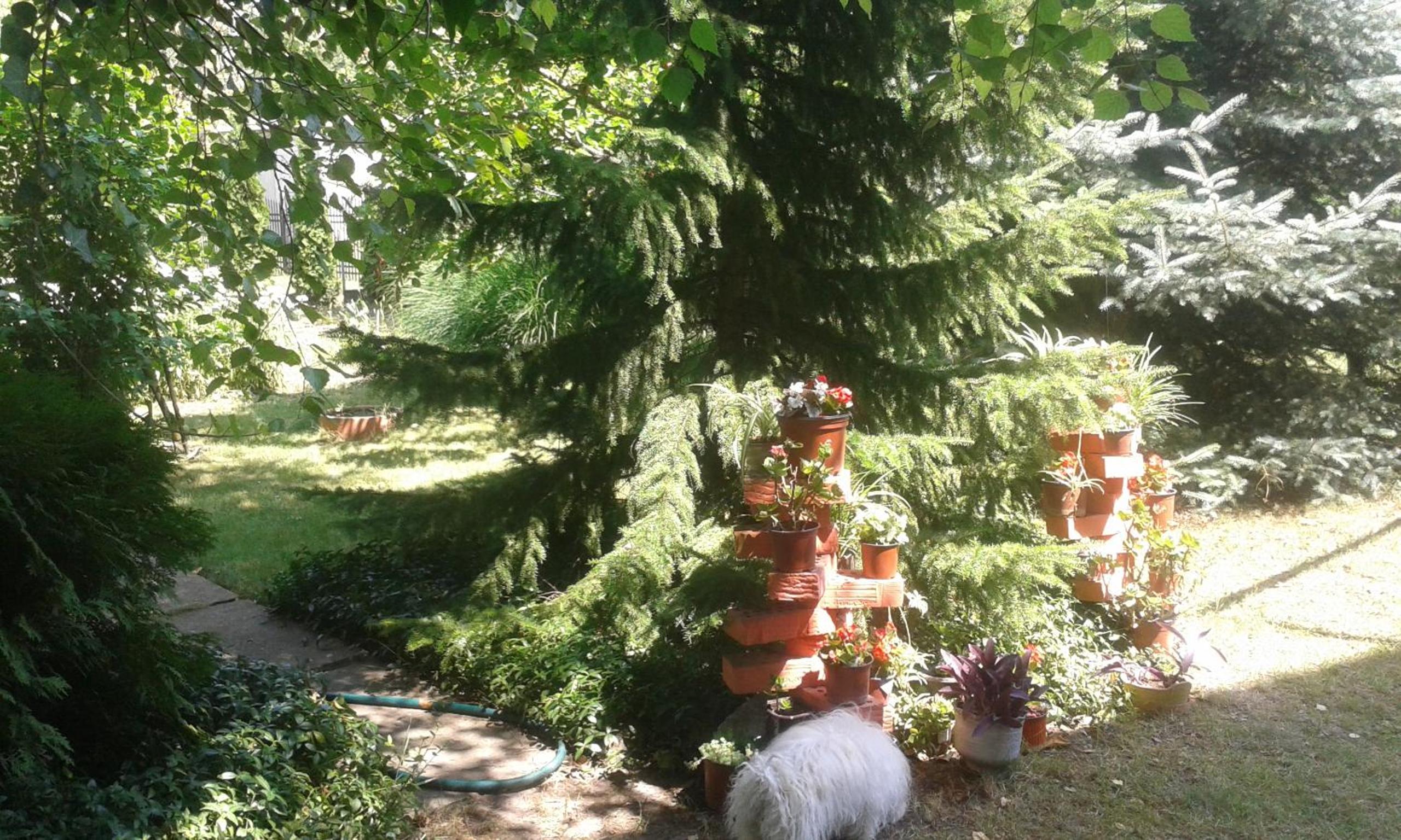 Photo 6