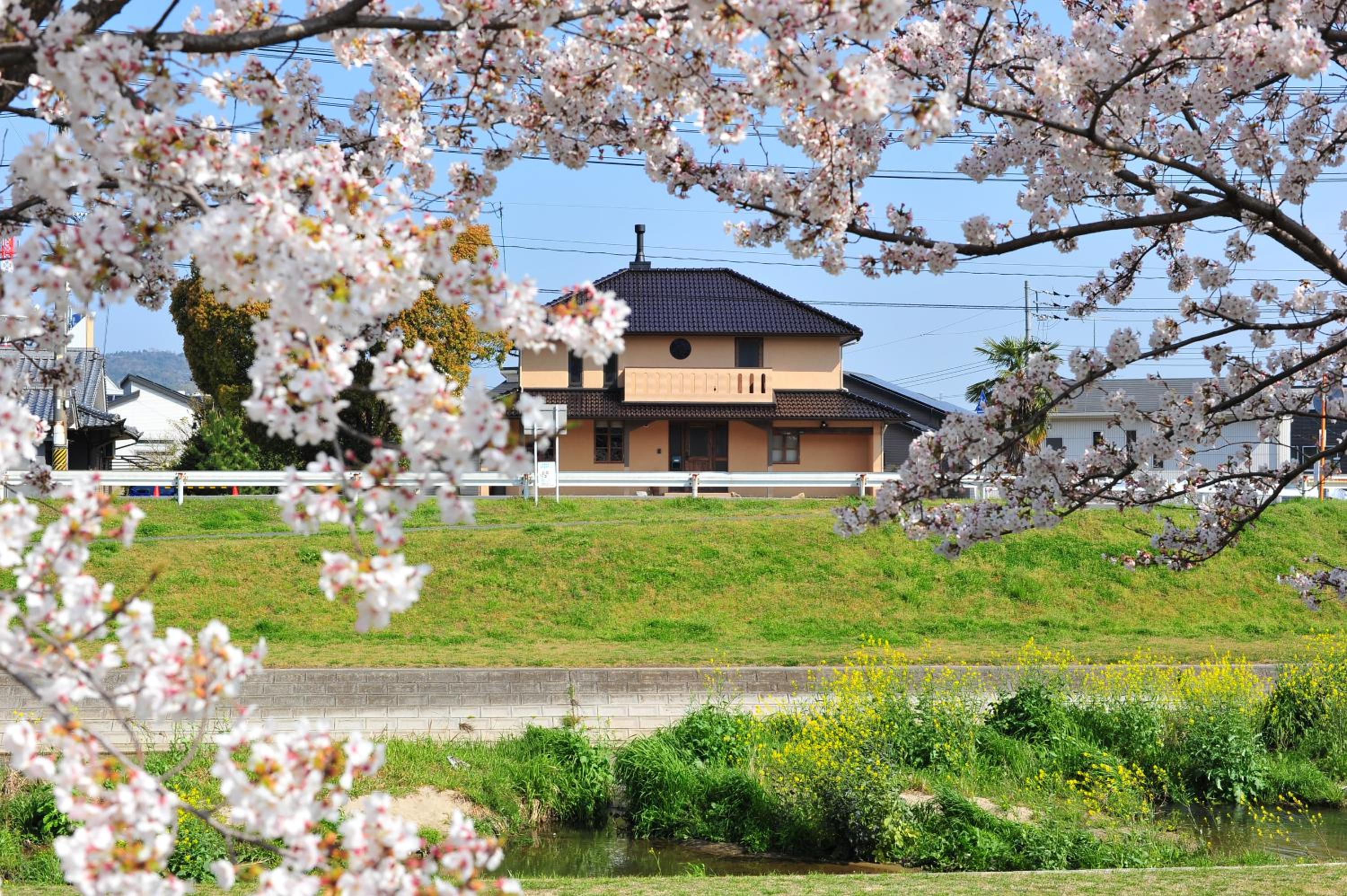 kusunoki for women-only guesthouse