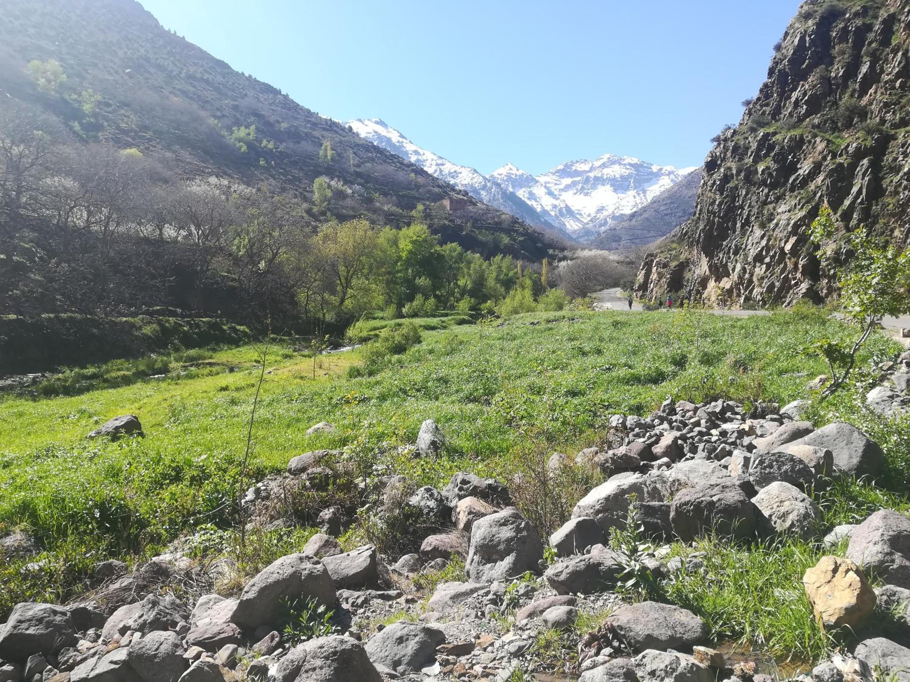 Berber Family Lodge 73