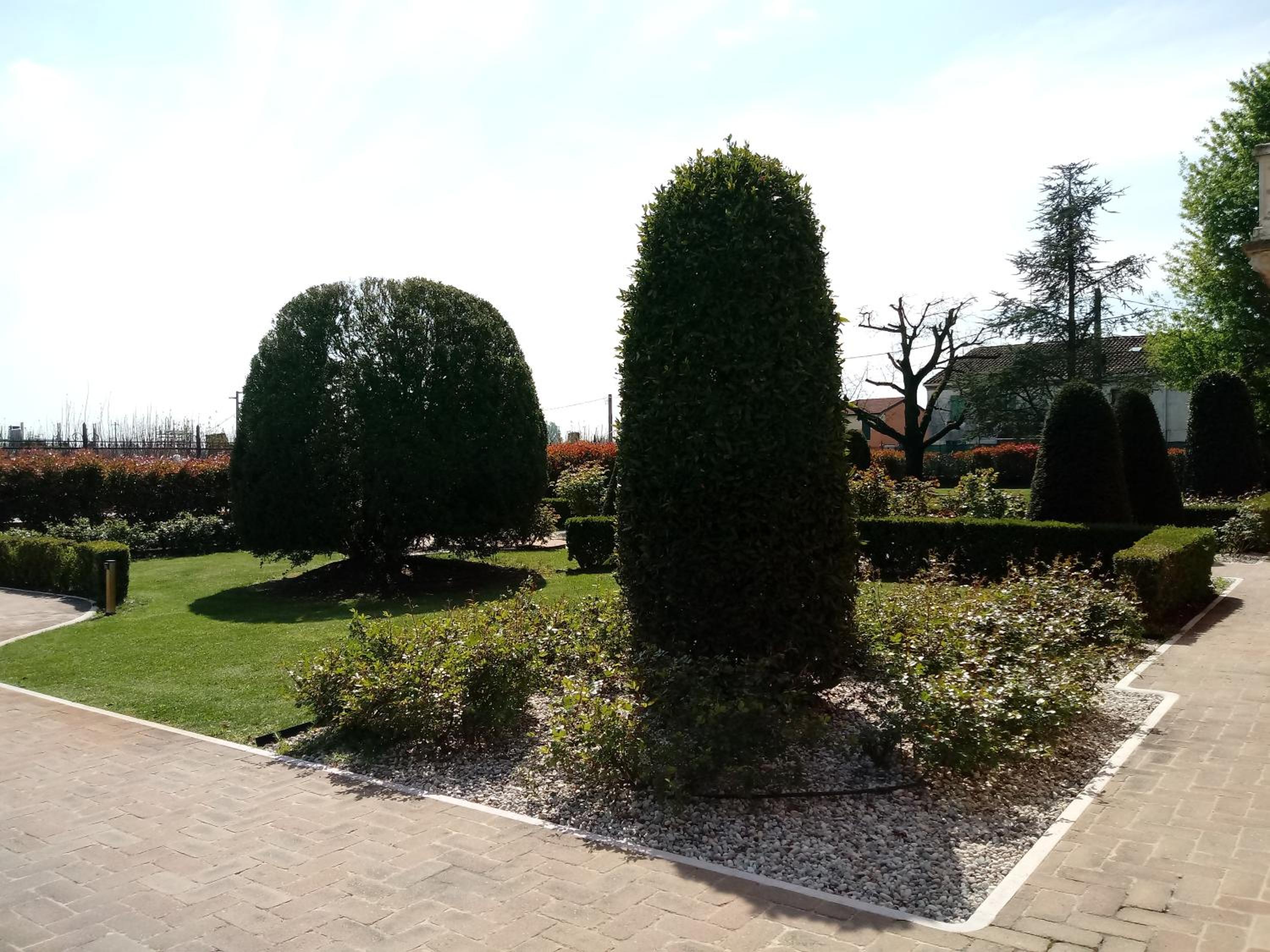 B&B Residence il Ciliegio , Via Villa Superiore 93 Luzzara, photo 18