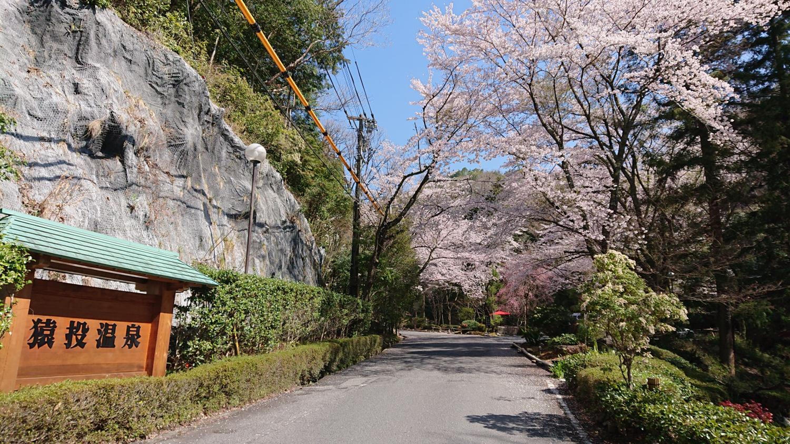 猿投温泉金泉閣