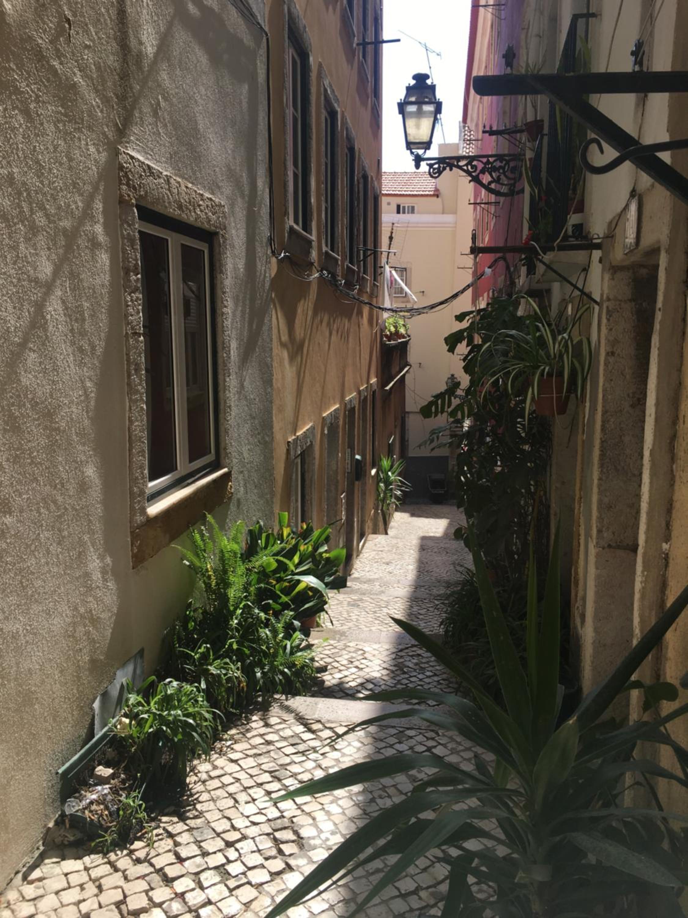 Casa da Saudade, a cozy apartment in Alfama photo 4