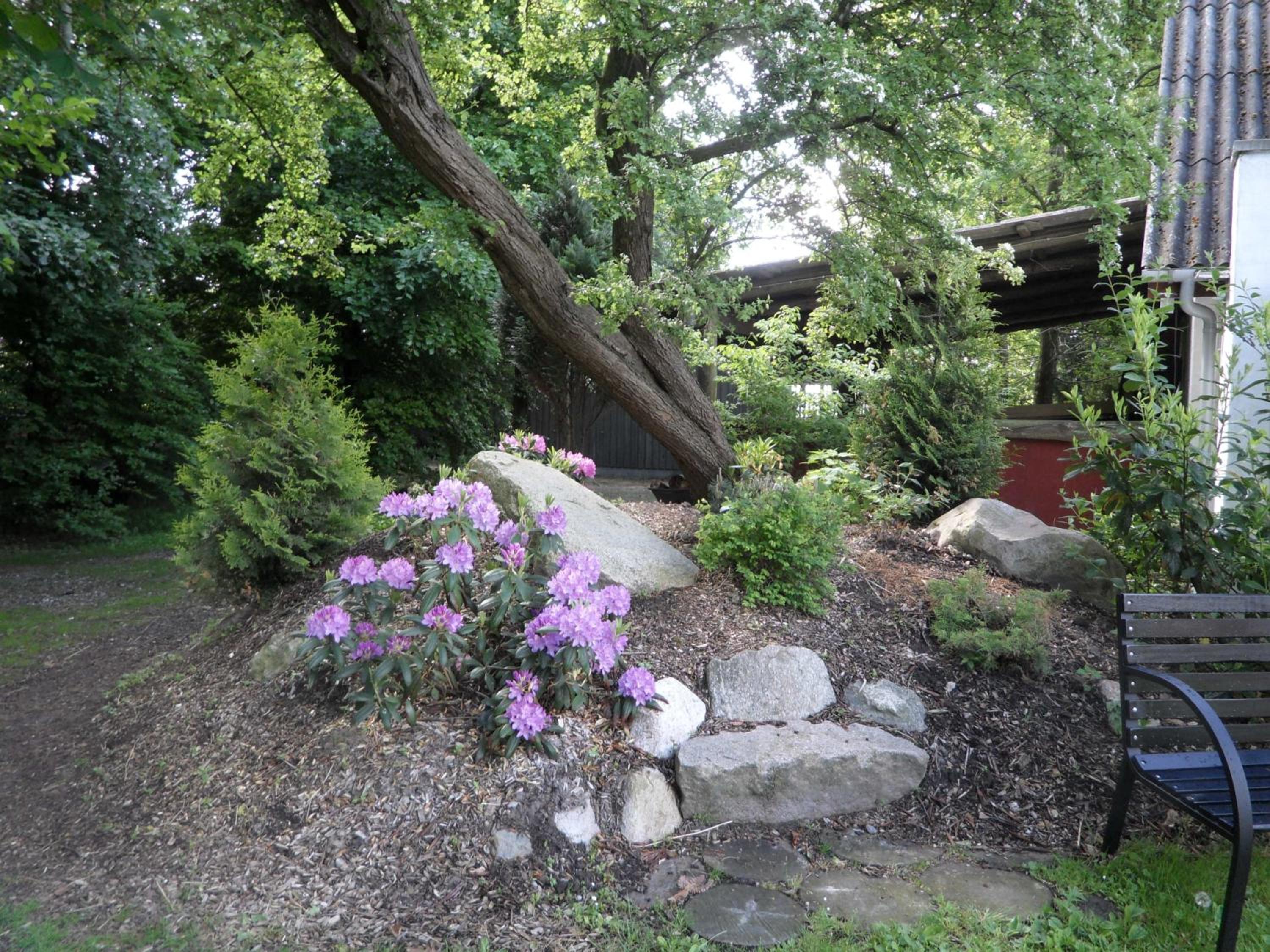 Photo 27