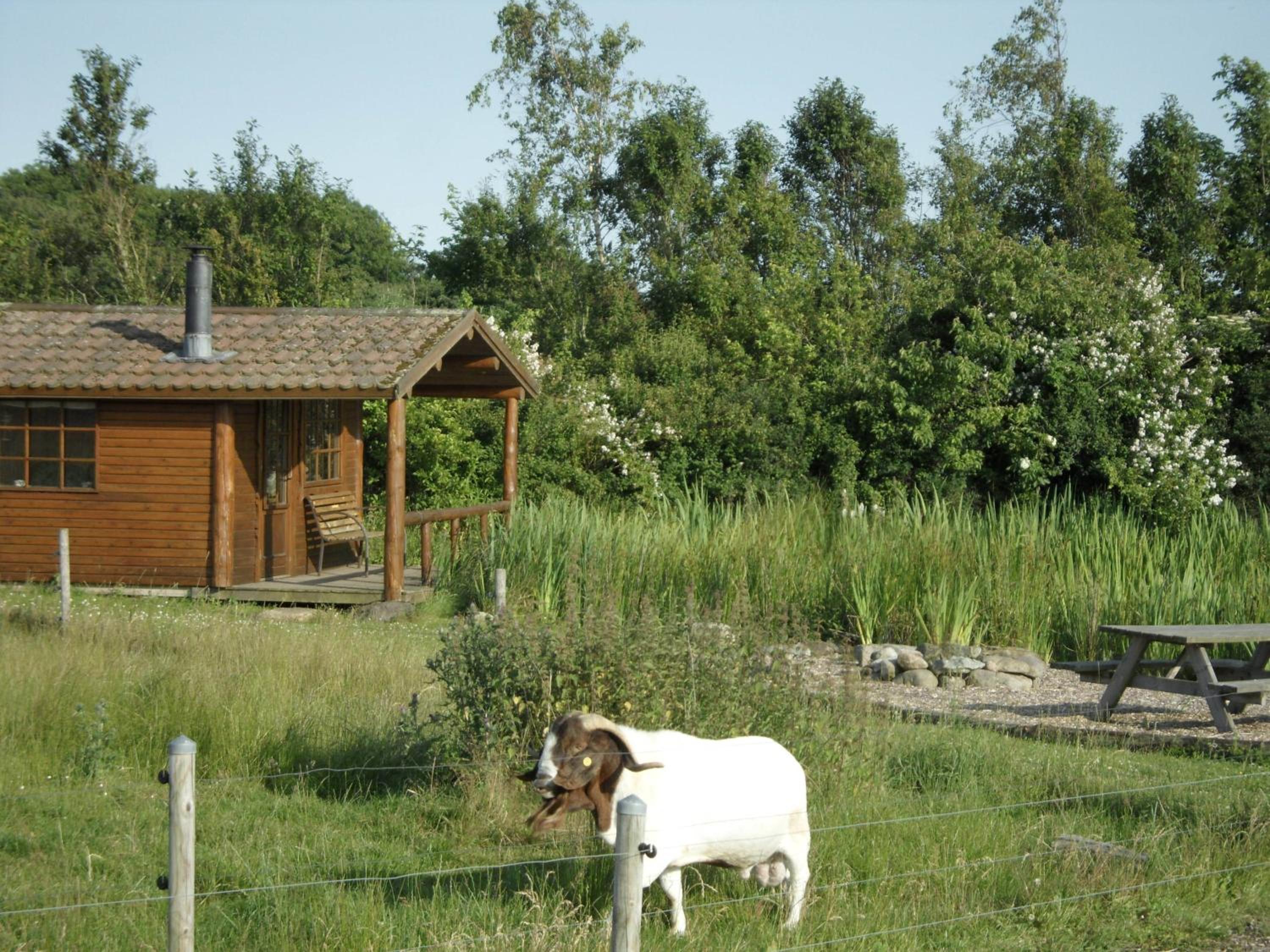 Photo 33