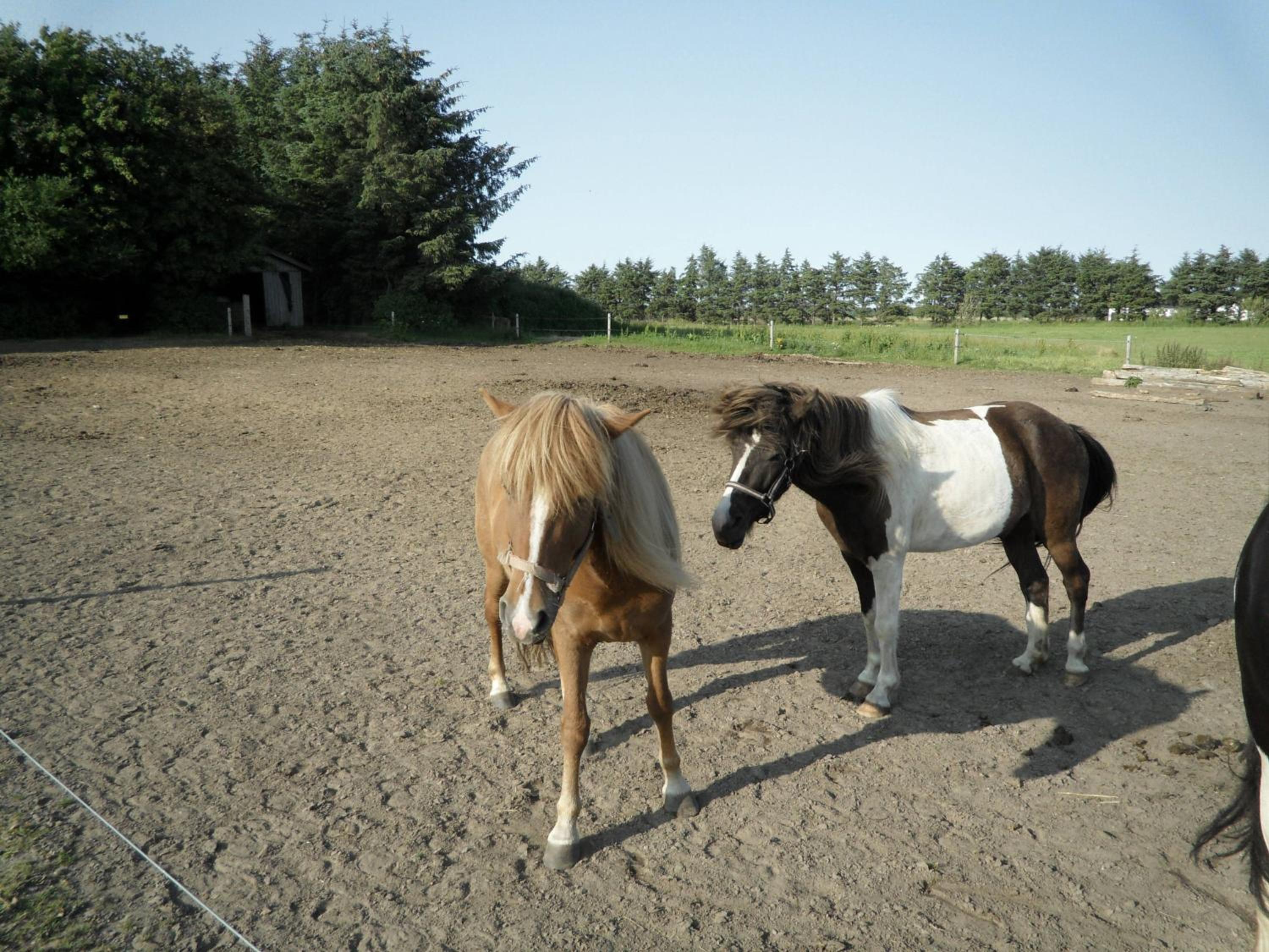 Photo 41