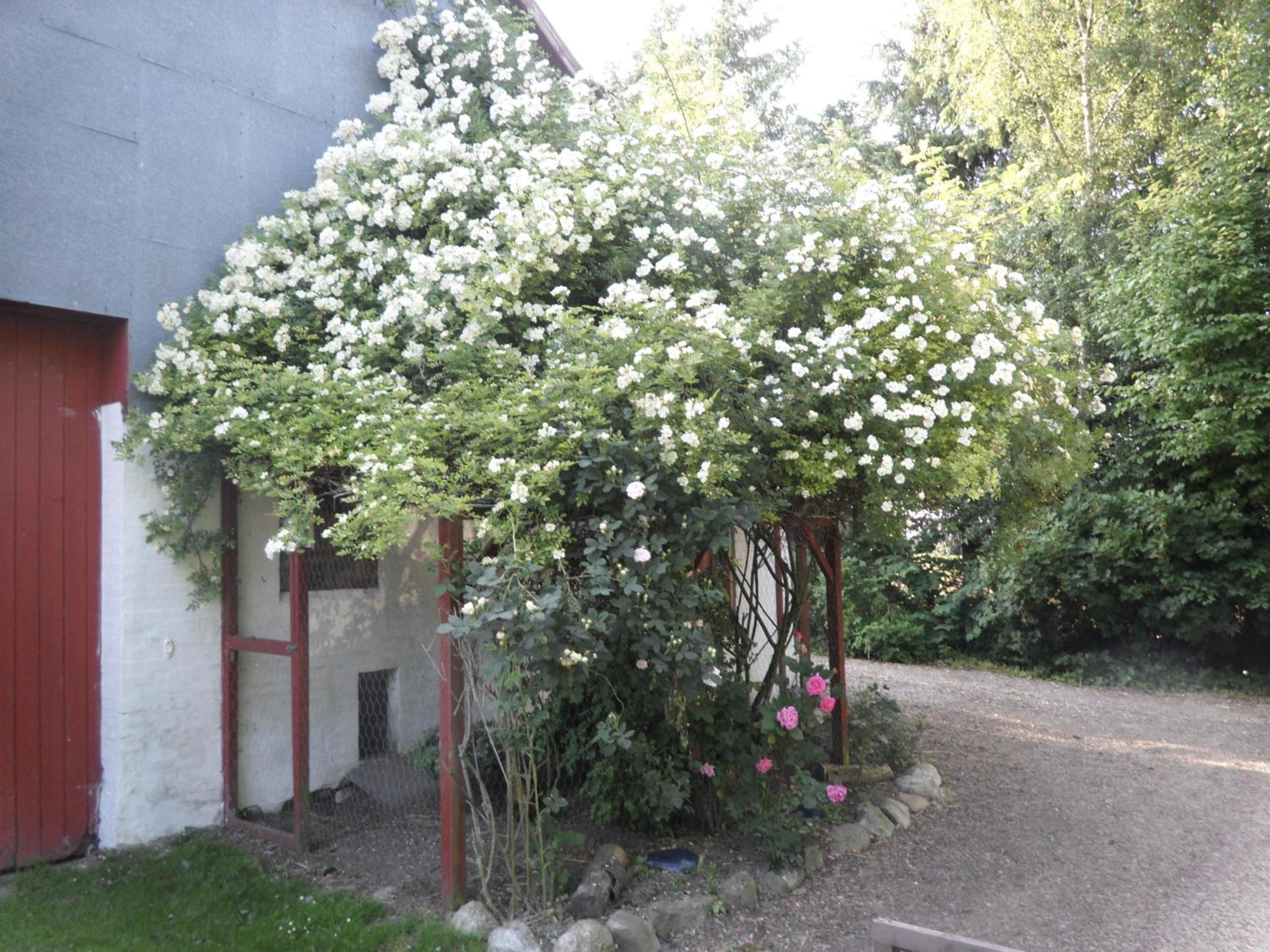 Photo 28