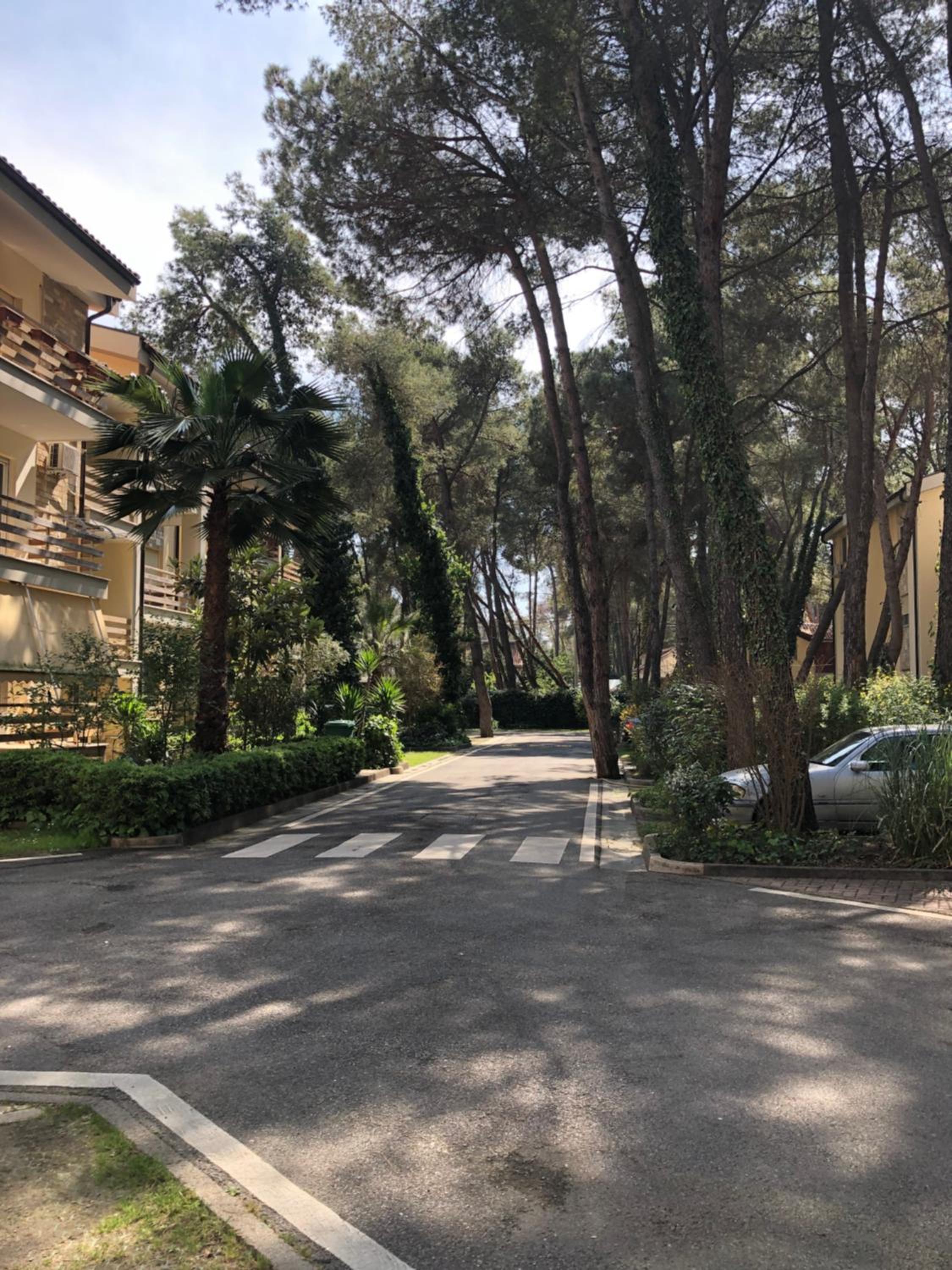 Pine-Tree Apt w/ Private Garden 50 m from the Sea