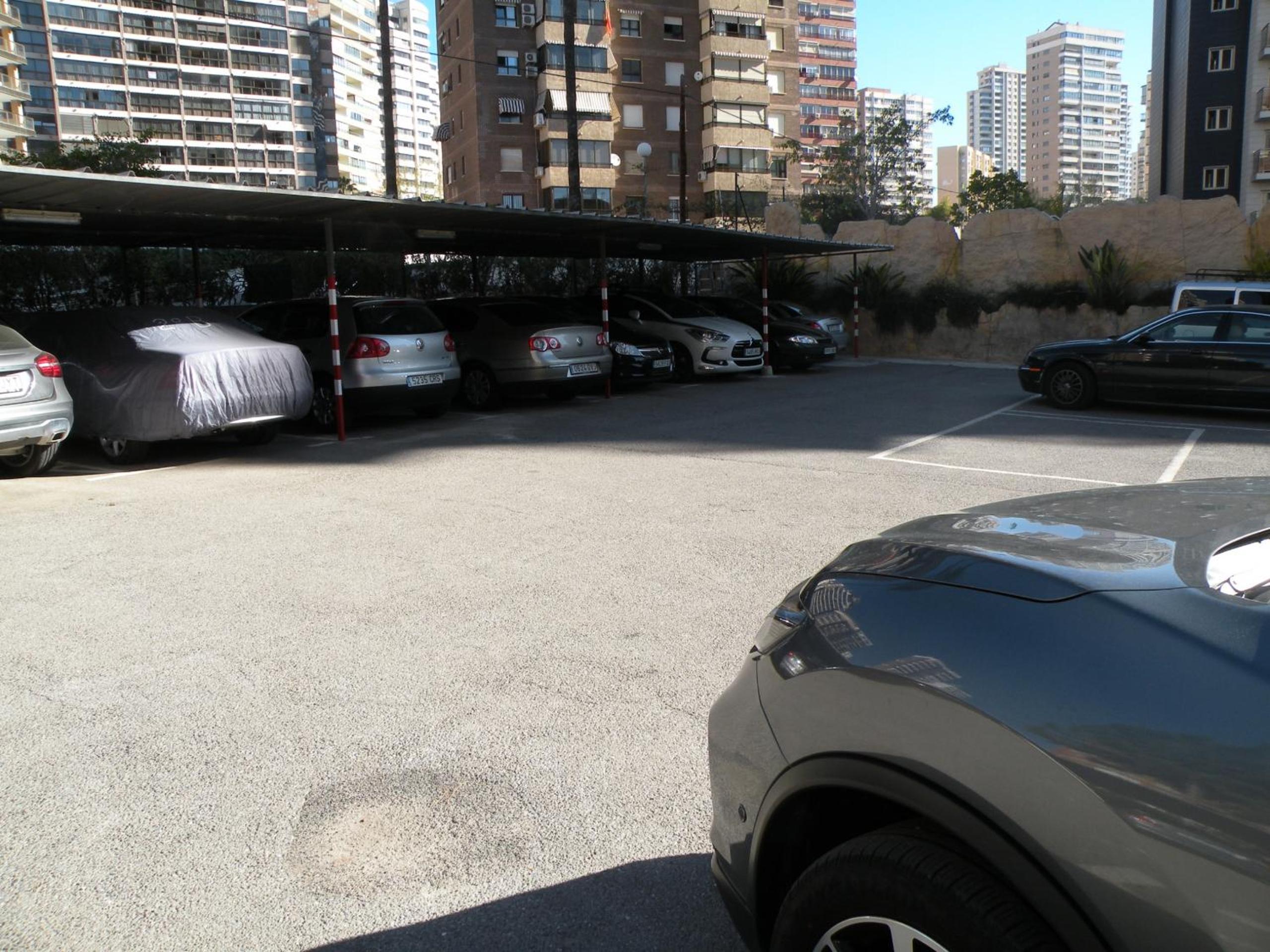 Photo 41