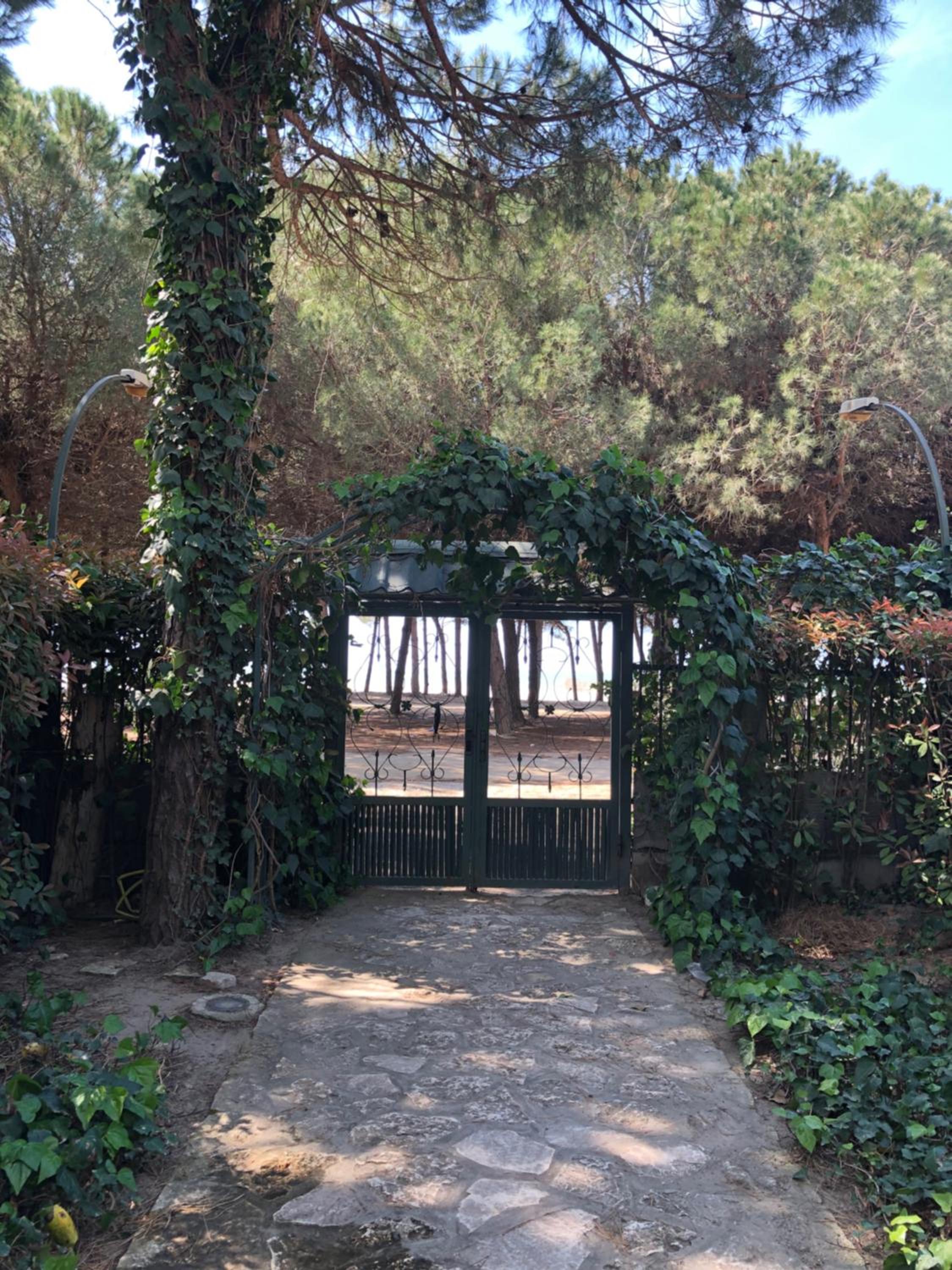 Pine-Tree Apt w/ Private Garden 50 m from the Sea