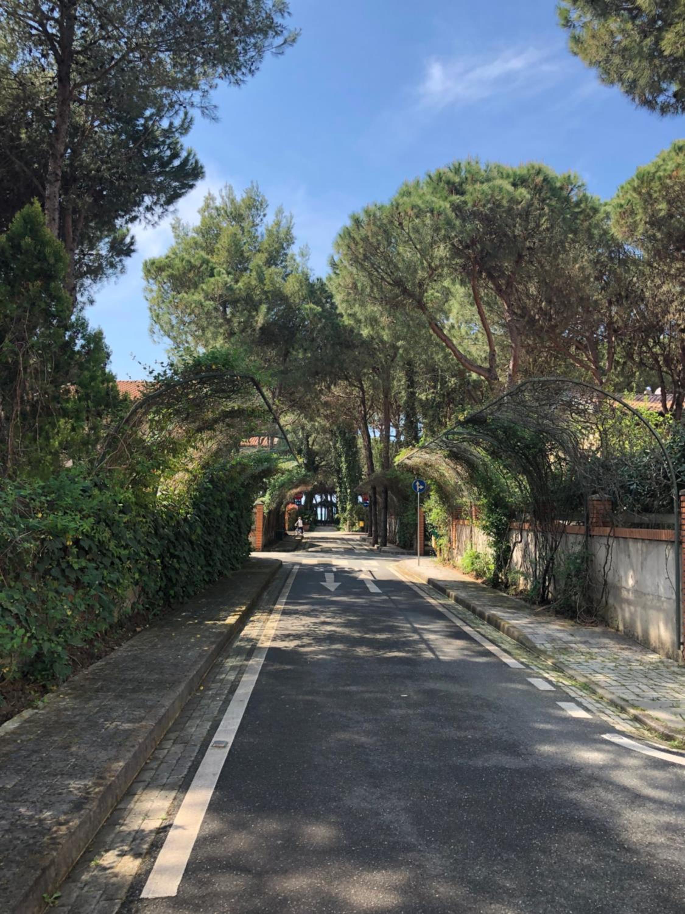 Pine-Tree Apt w/ Private Garden 50 m from the Sea