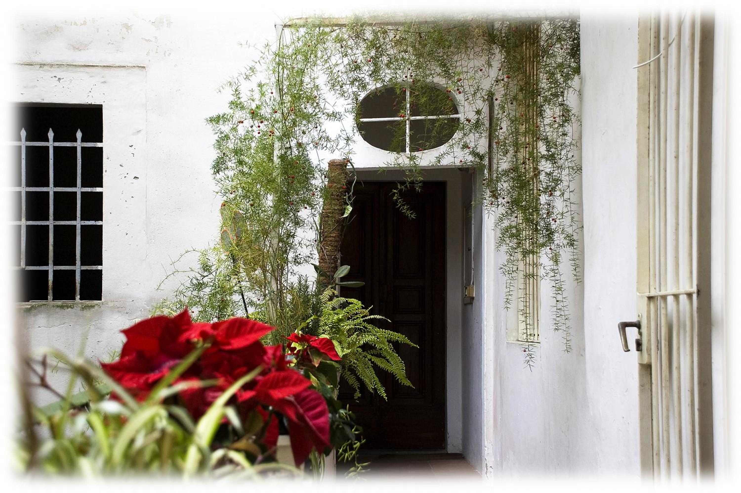 Florence Rental