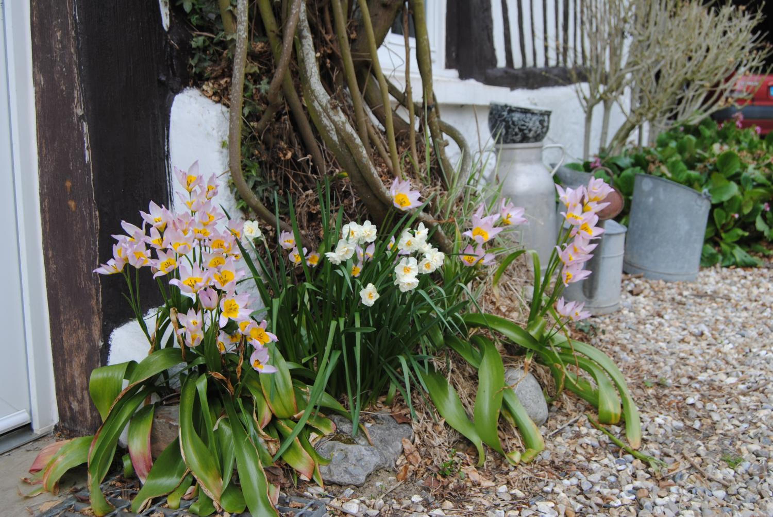 Photo 13