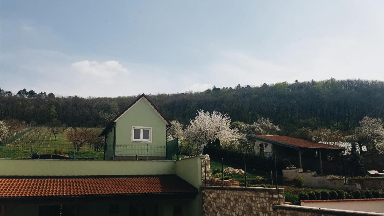 Pod Vinicí