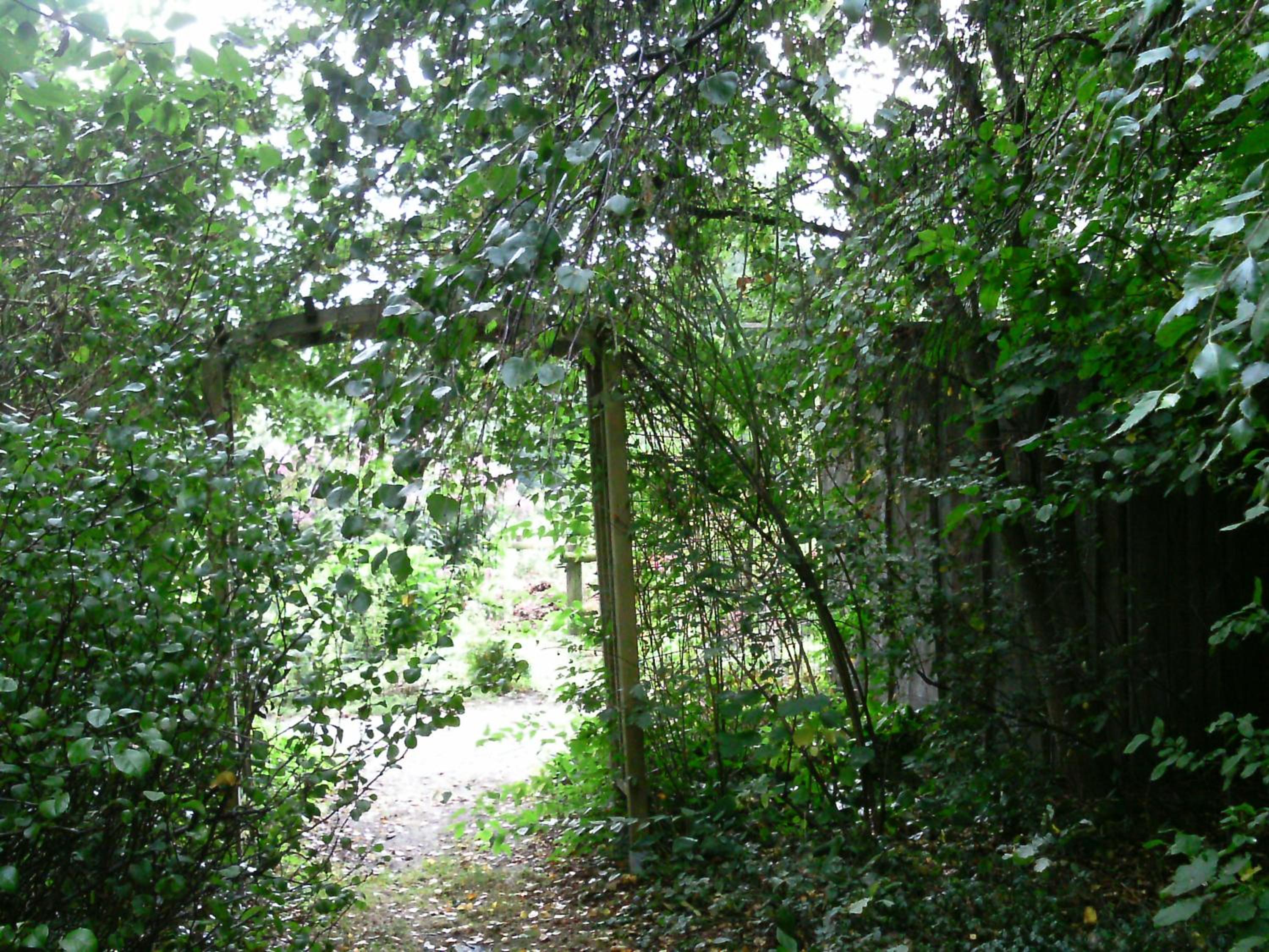 Photo 13