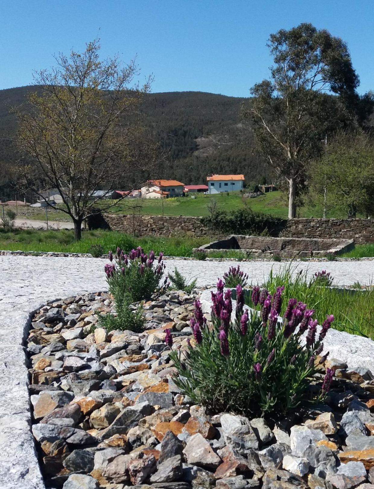 T3 com Piscina e Jardim - Casula no Caramulo