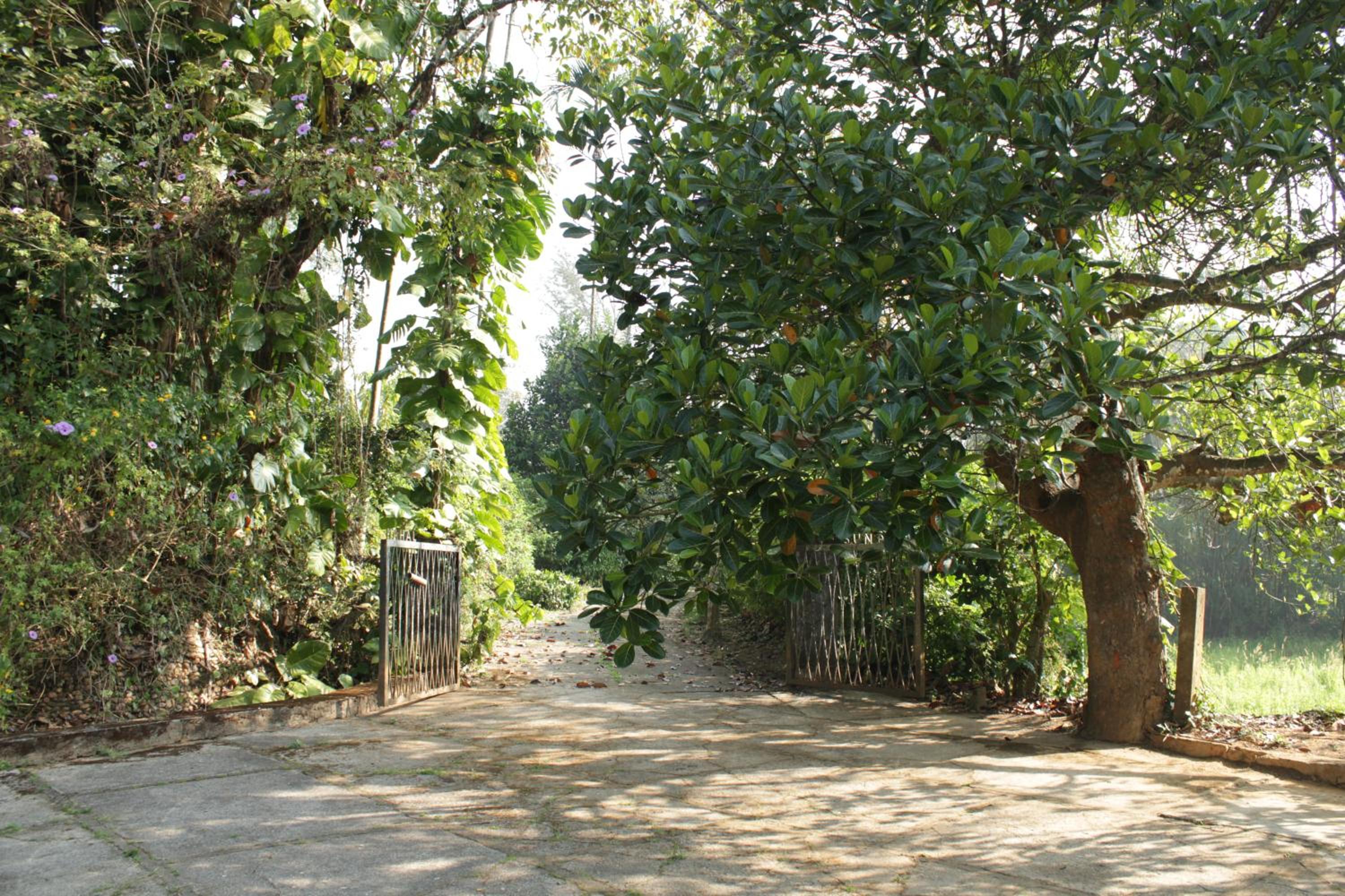Sundara Mahal Homestay Wayanad