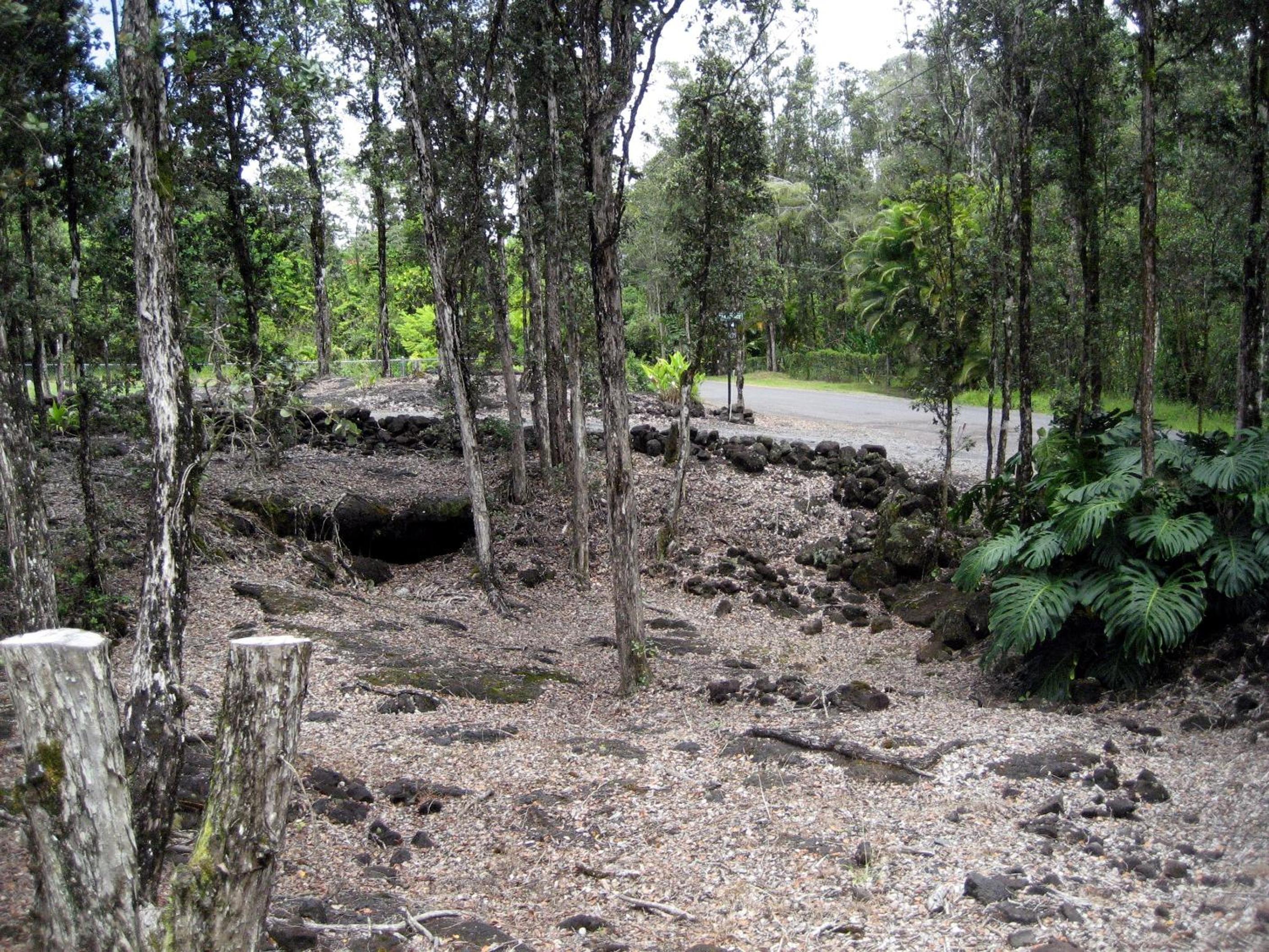 Keaau Place - Property Image 2