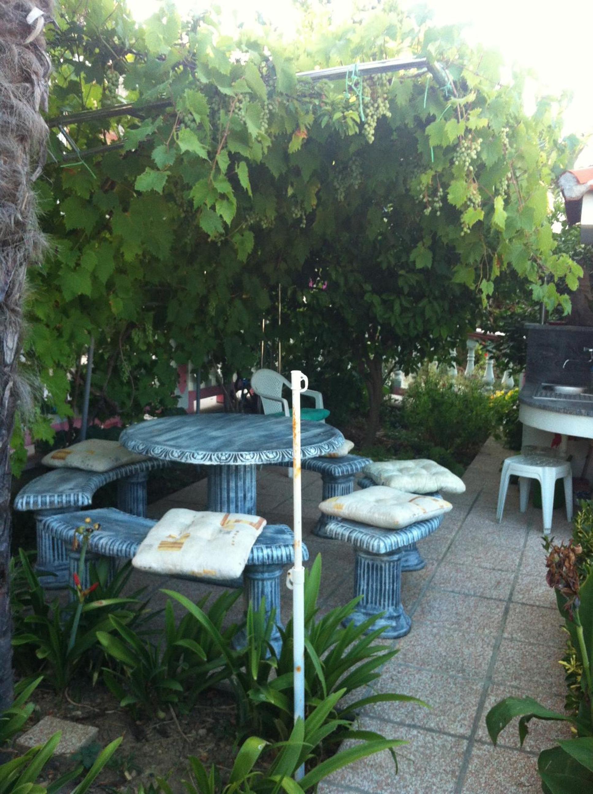 Photo 23