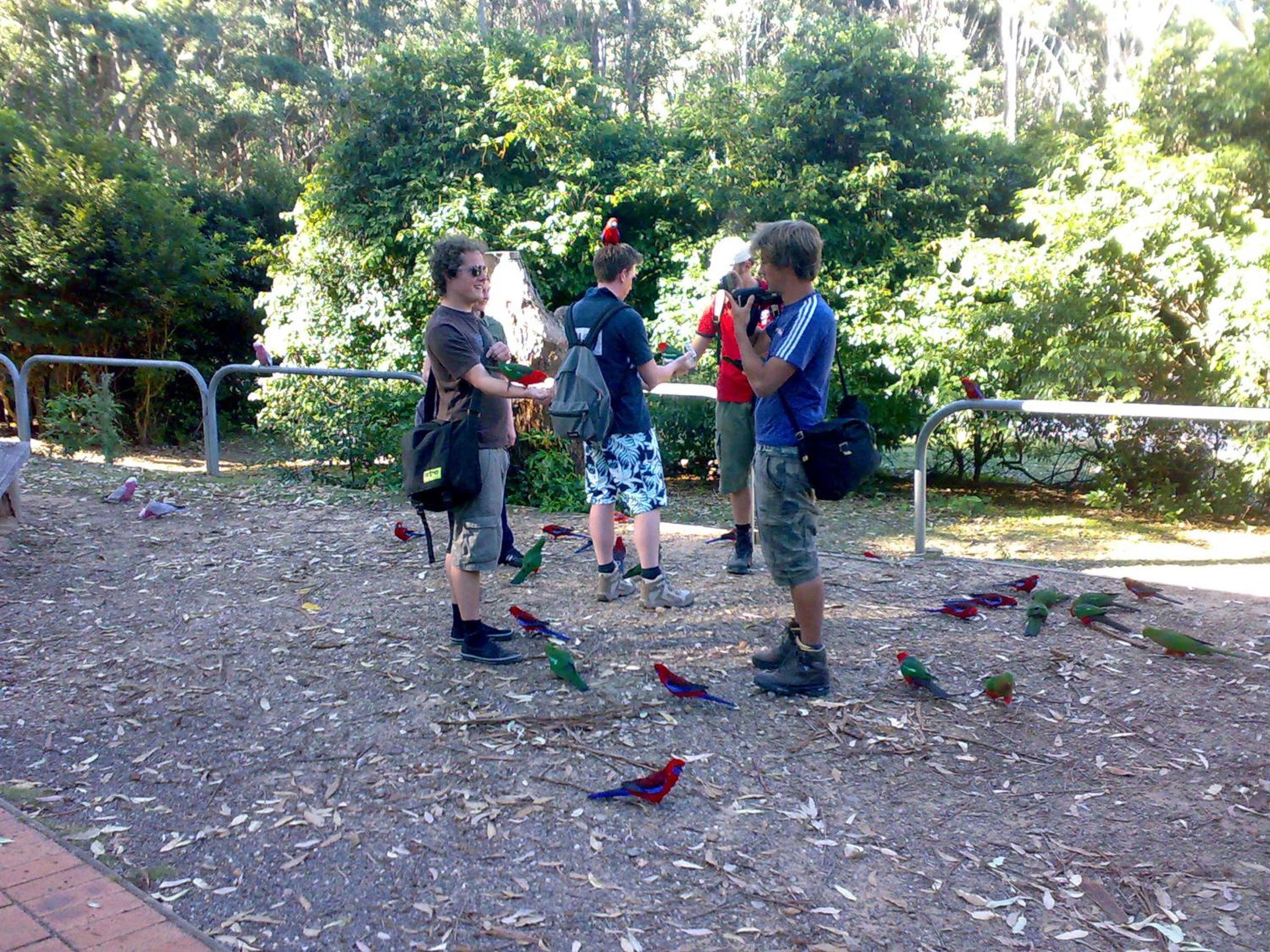 Batemans Bay Holiday Park & Hostel