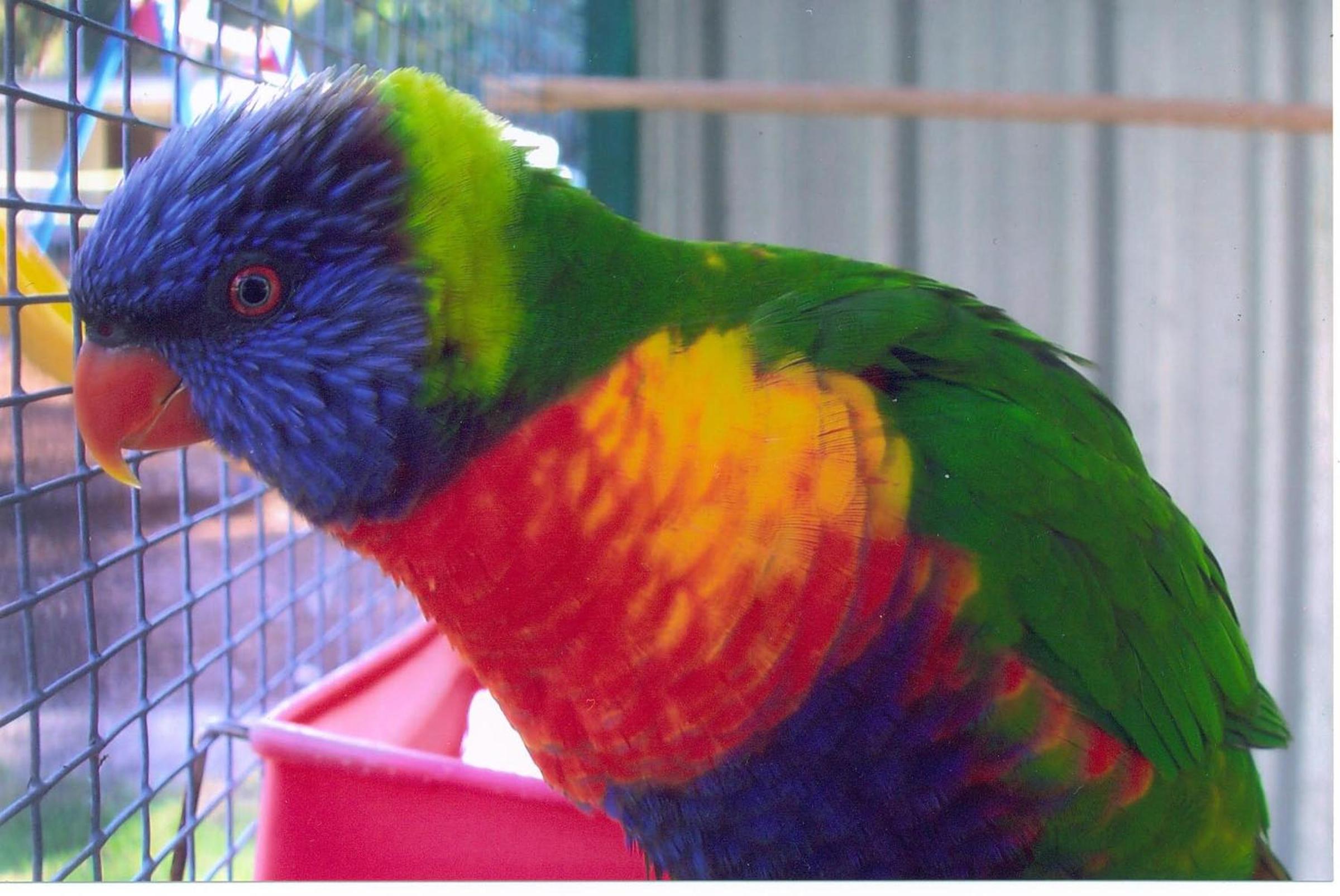 Batemans Bay Holiday Park & Hostel