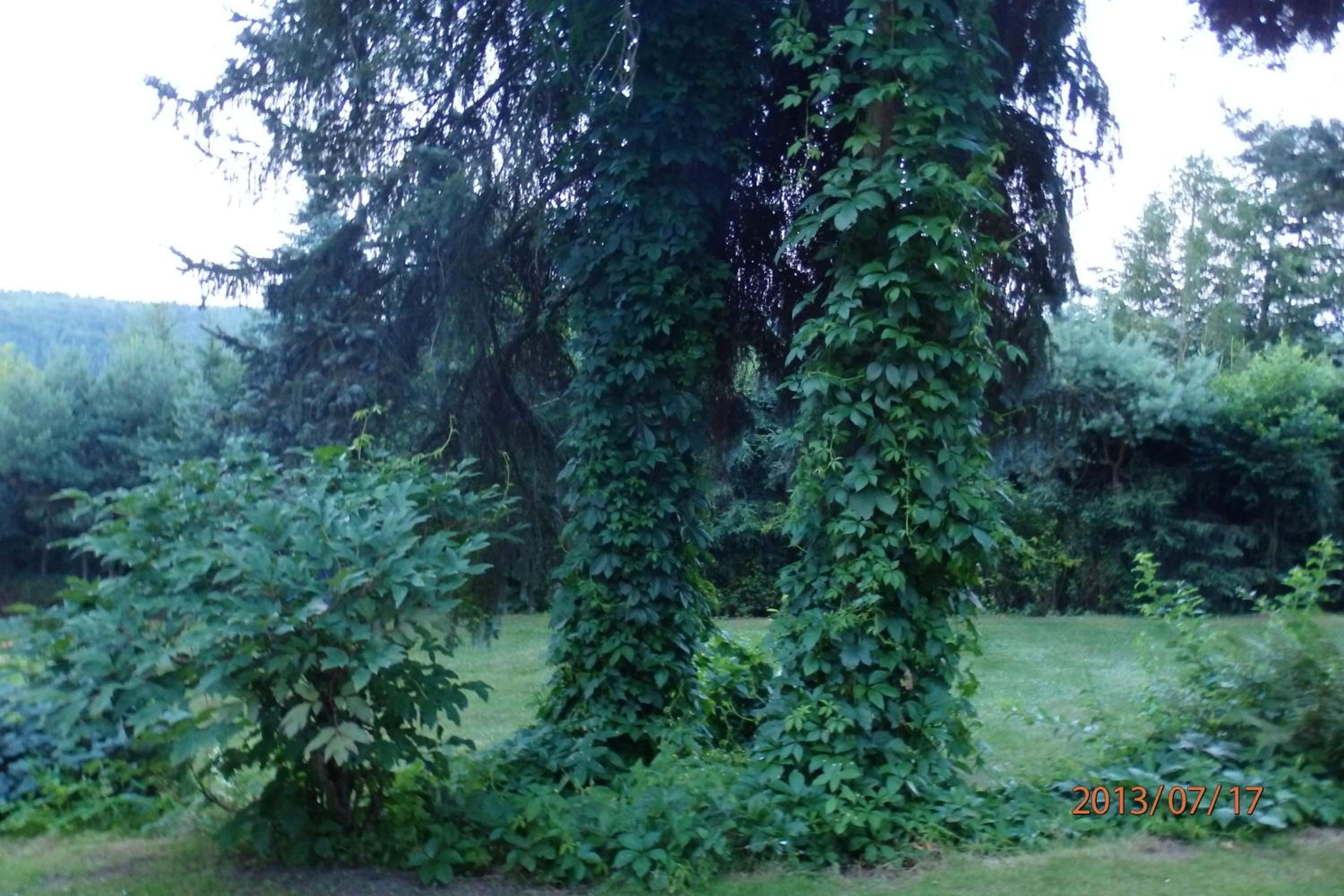Villa Blanka