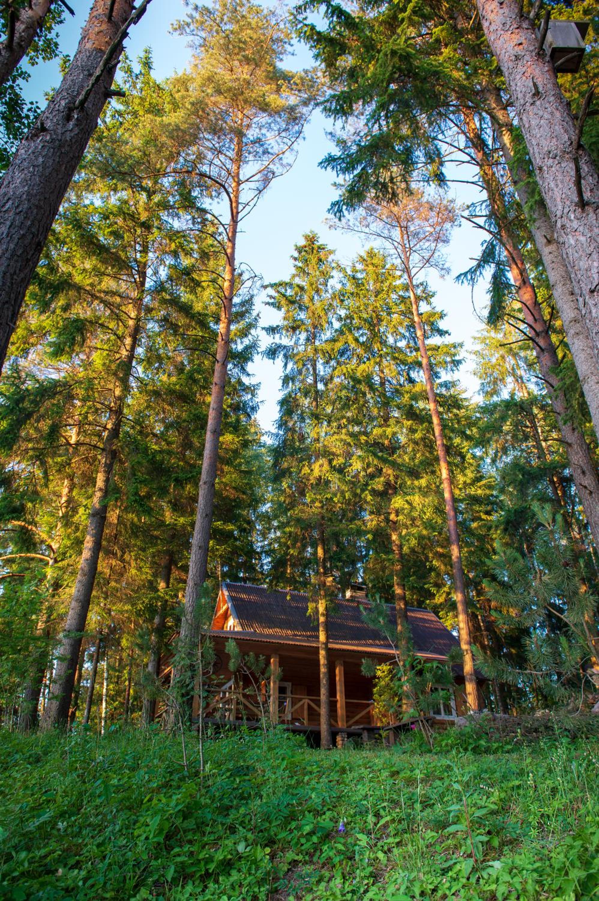 Vidūnų sodyba view 5