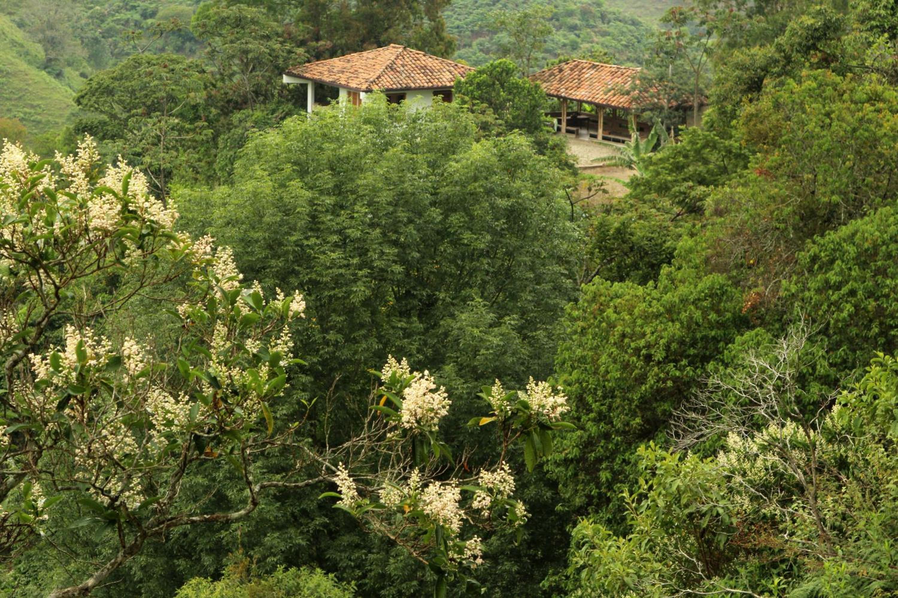 Eco Hotel El Columpio