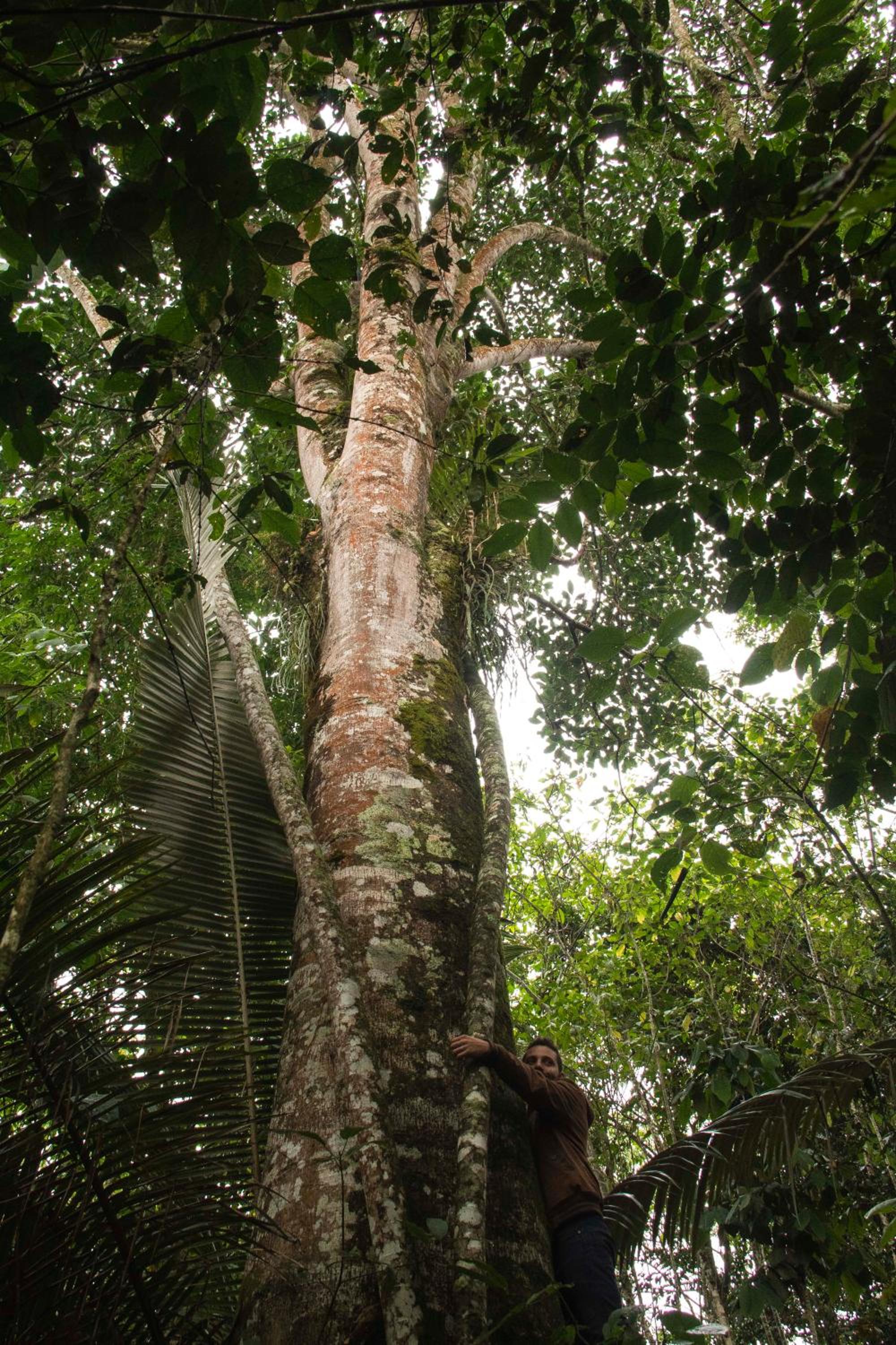 Eco Hotel El Columpio