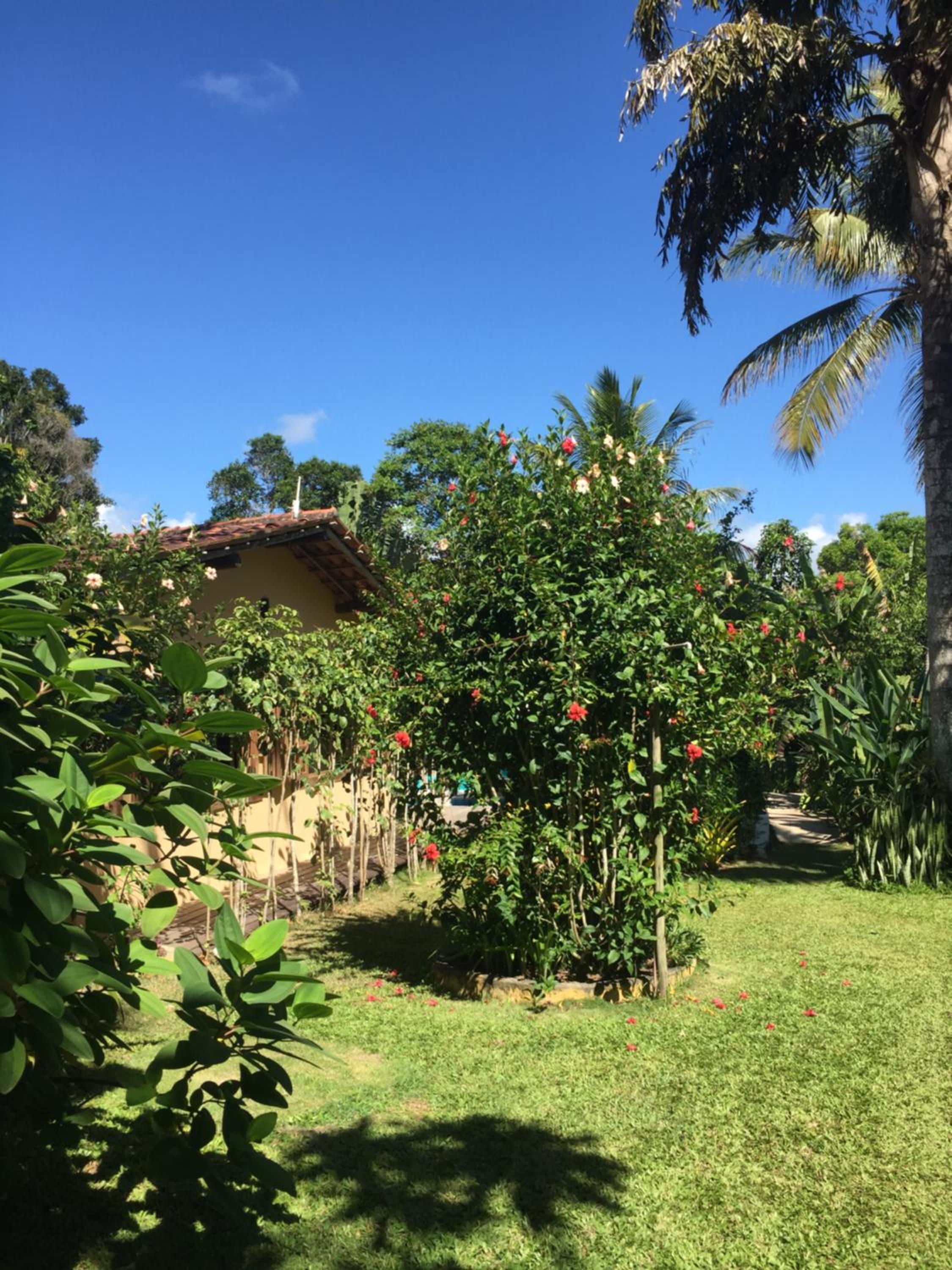 Pousada Jardim Das Margaridas