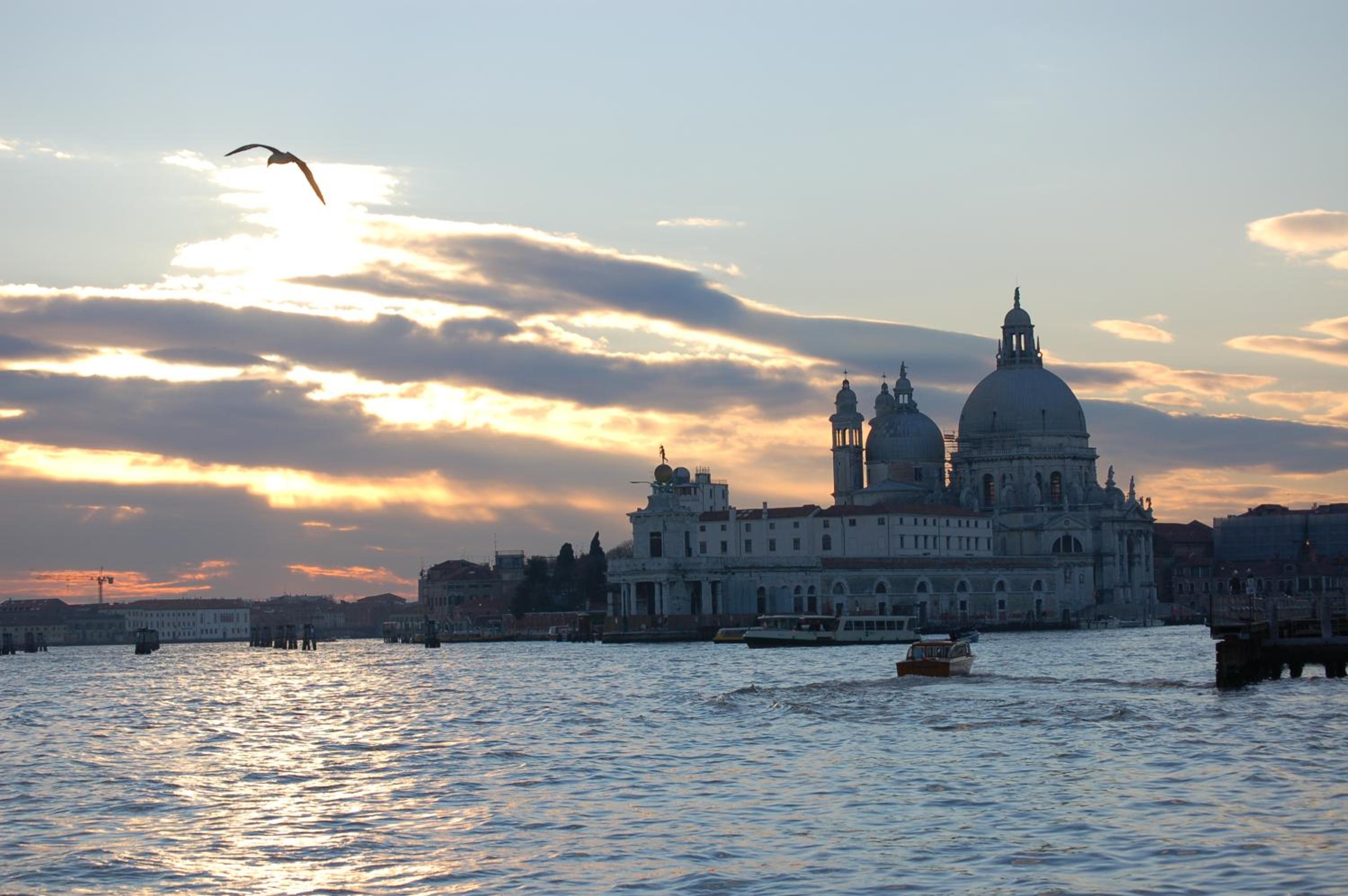 OASIS Golden Lagoon Chalet view 5