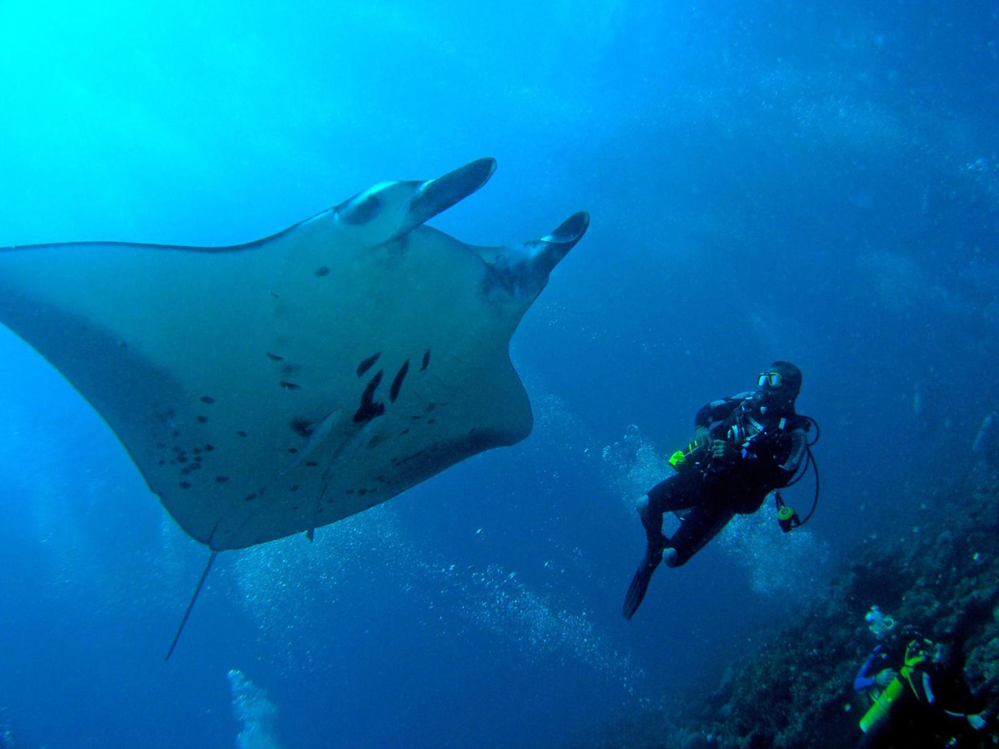 Bandos Maldives