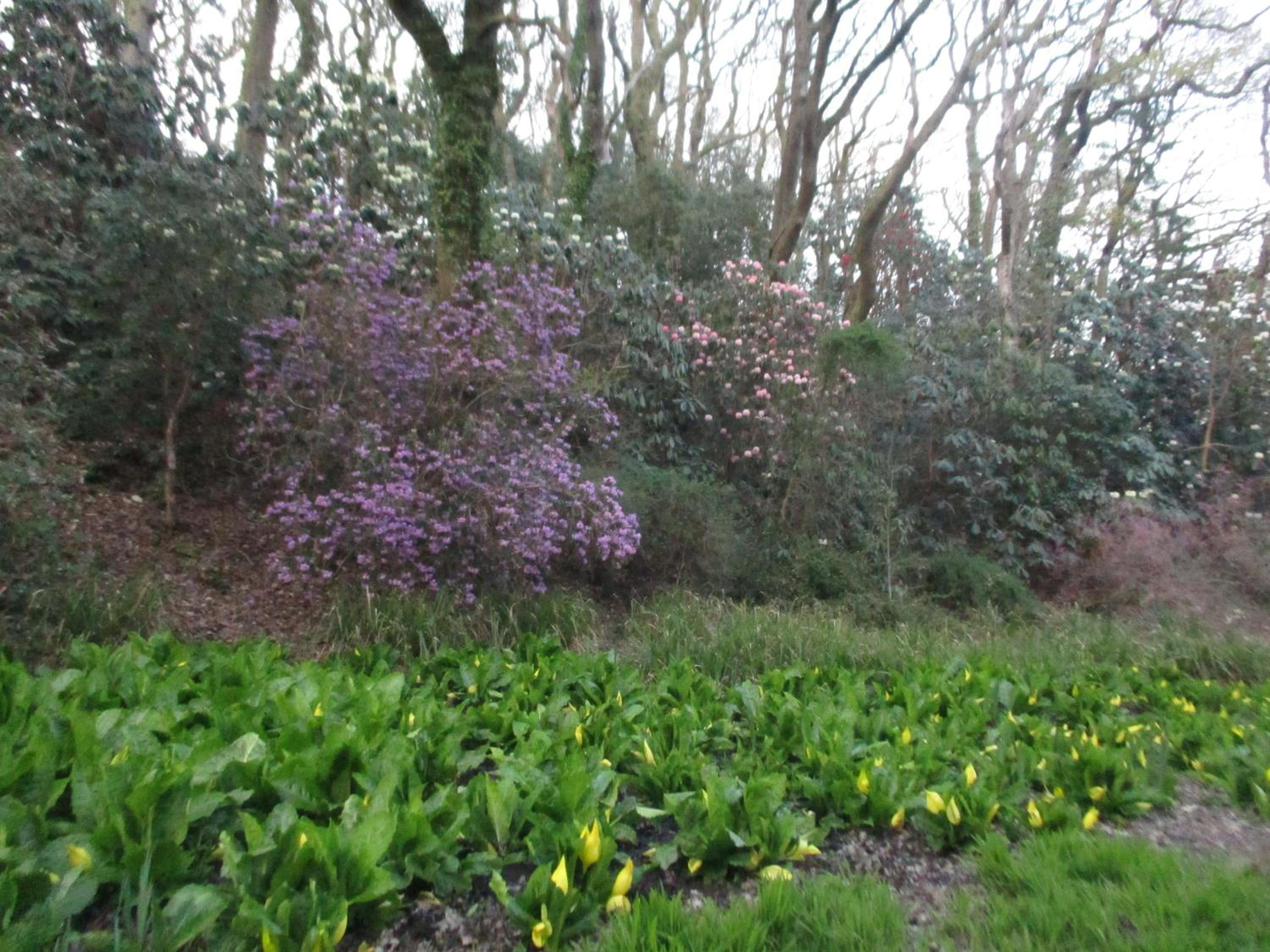 Photo 40