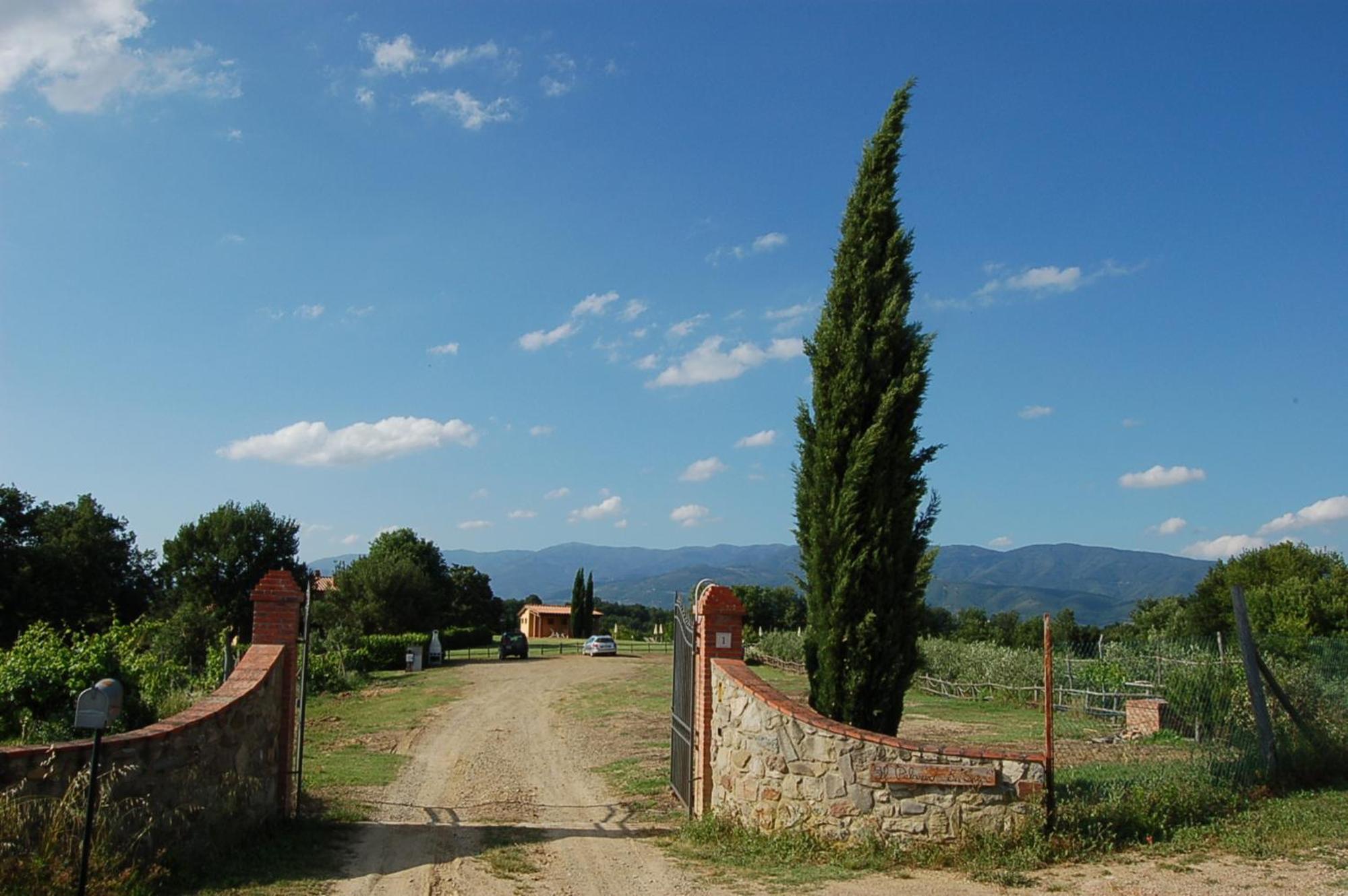 Photo 25