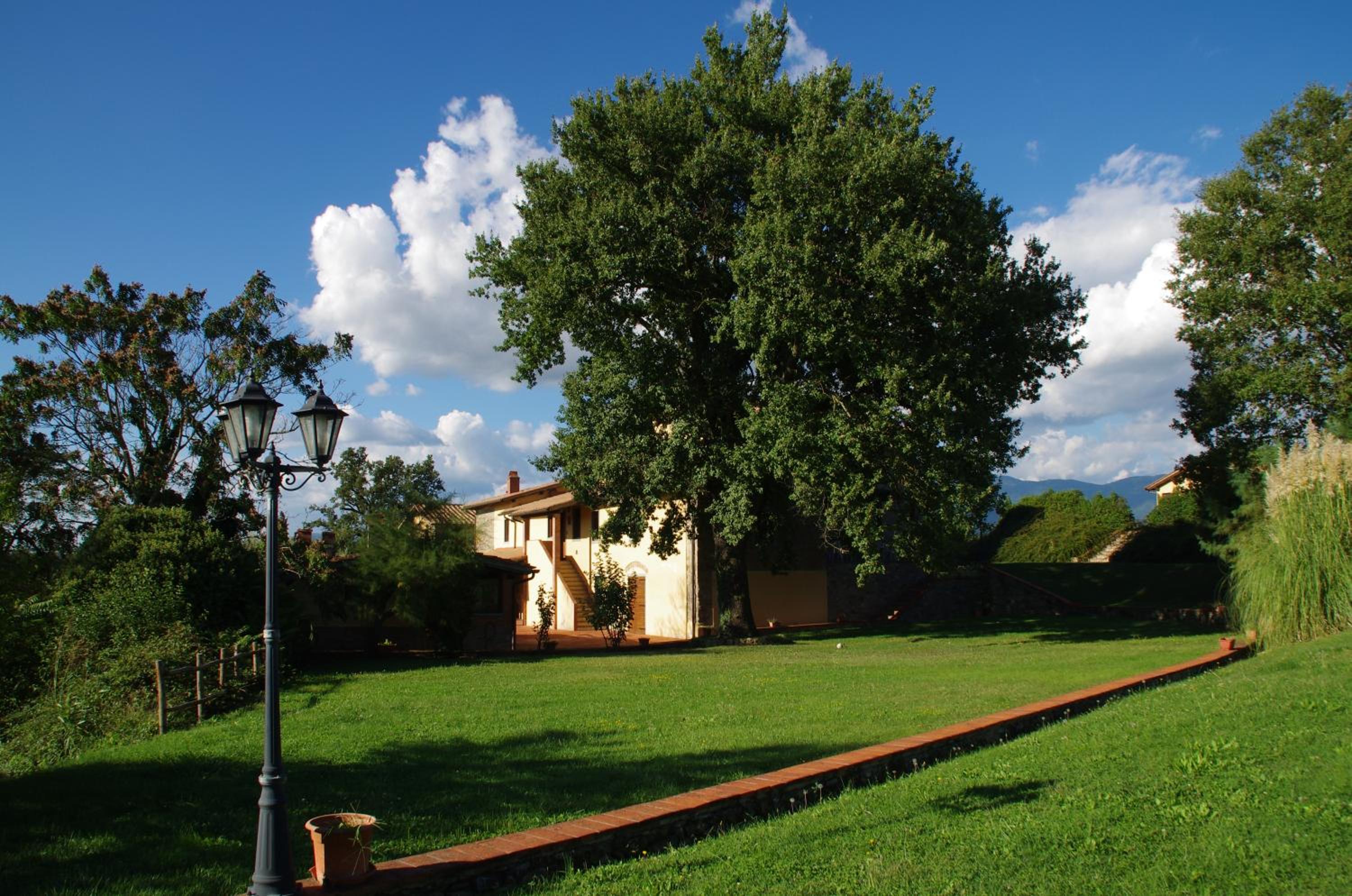 Photo 40