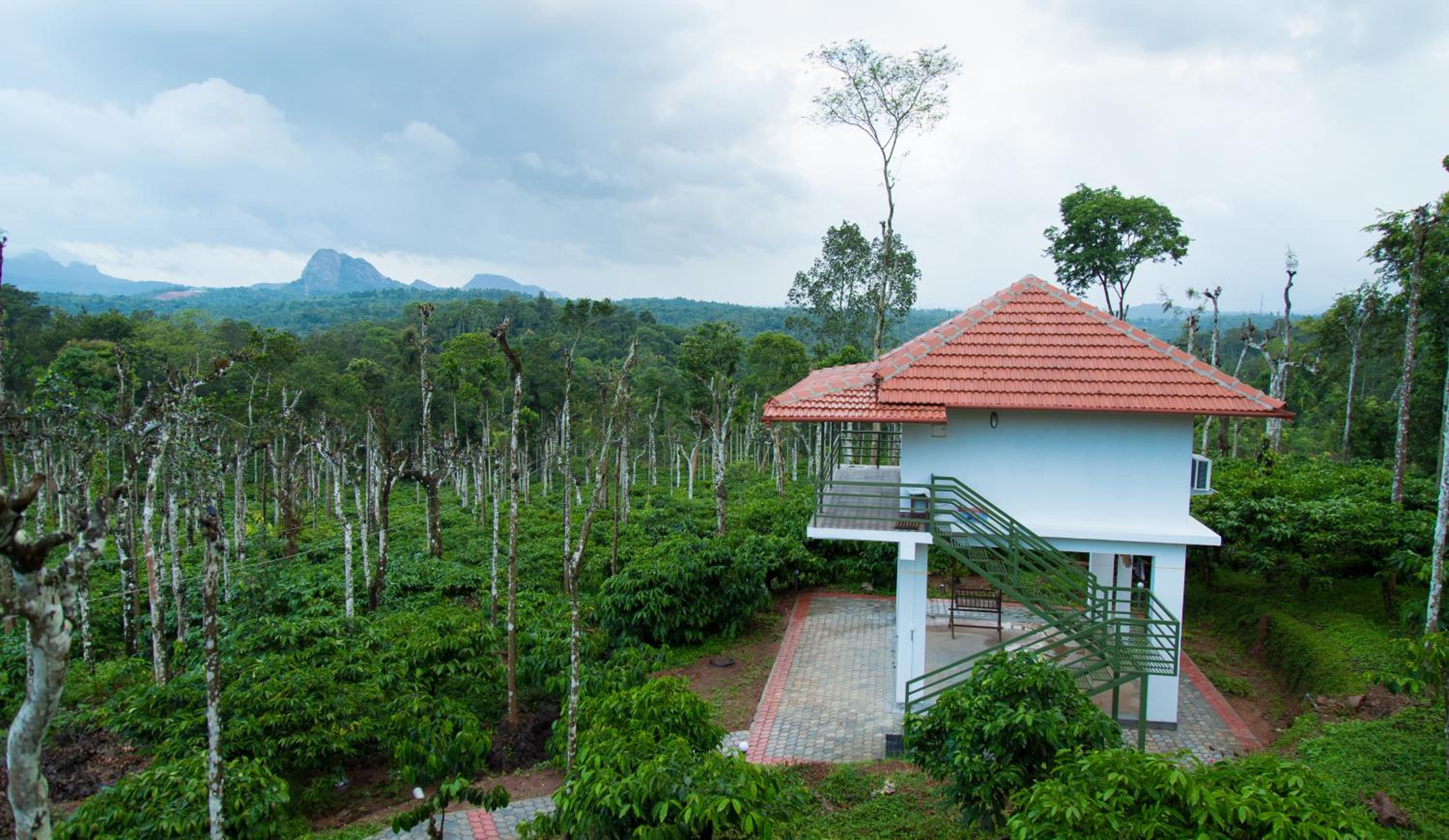 THE SUVISTARA WAYANAD KERALA - Property Image 24