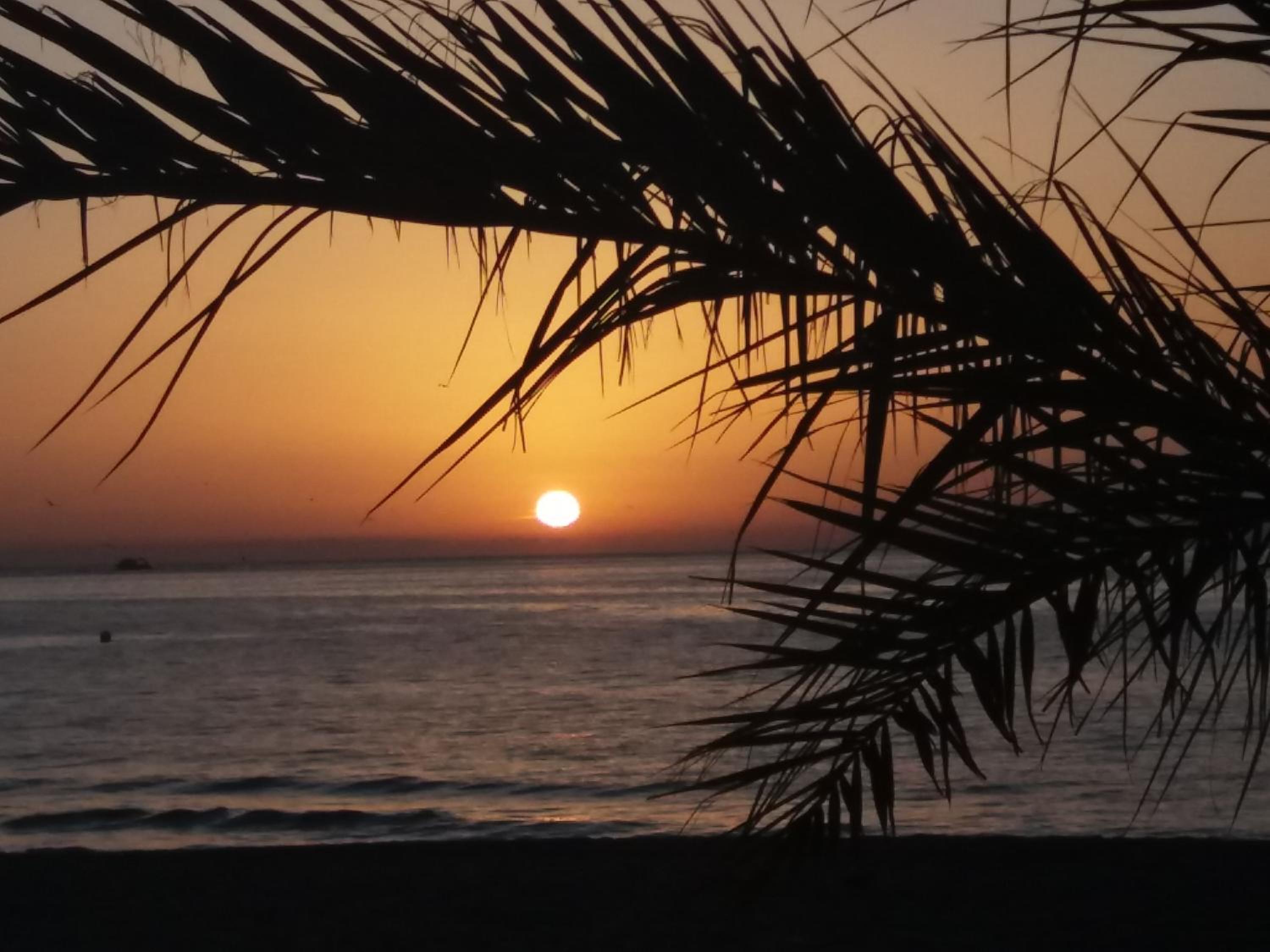 Aloha Paraíso photo 2