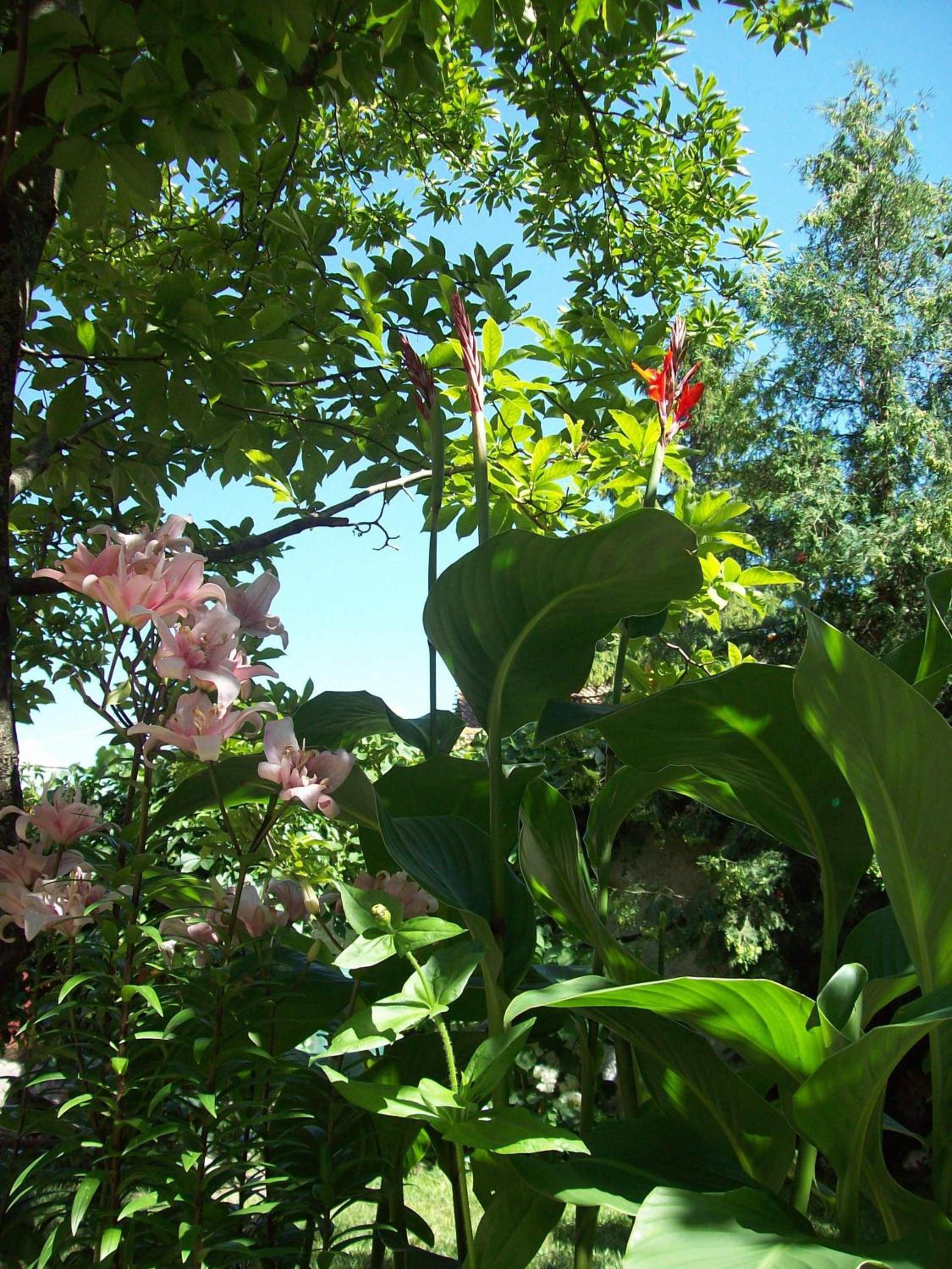 Photo 22