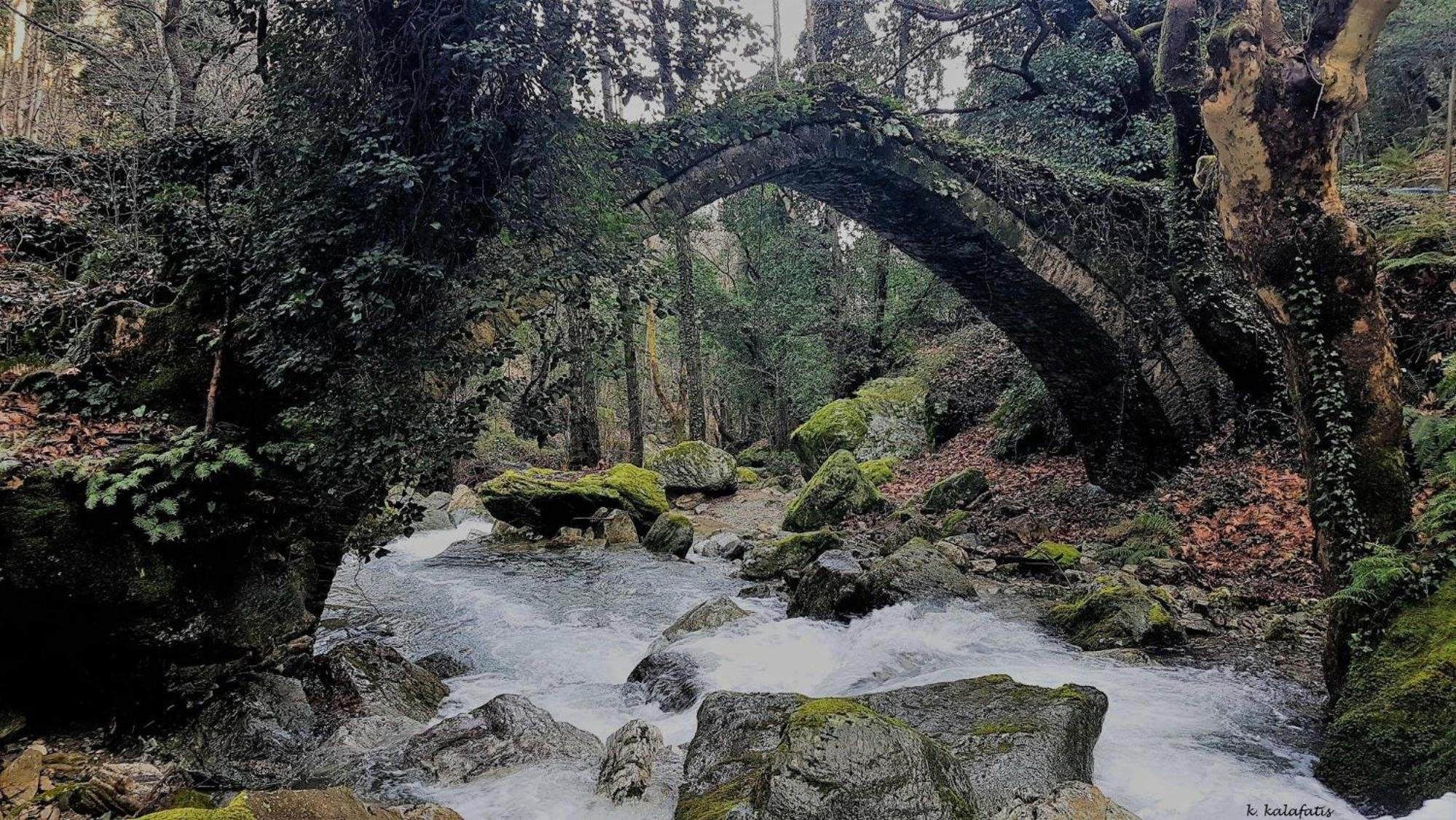 Photo 47