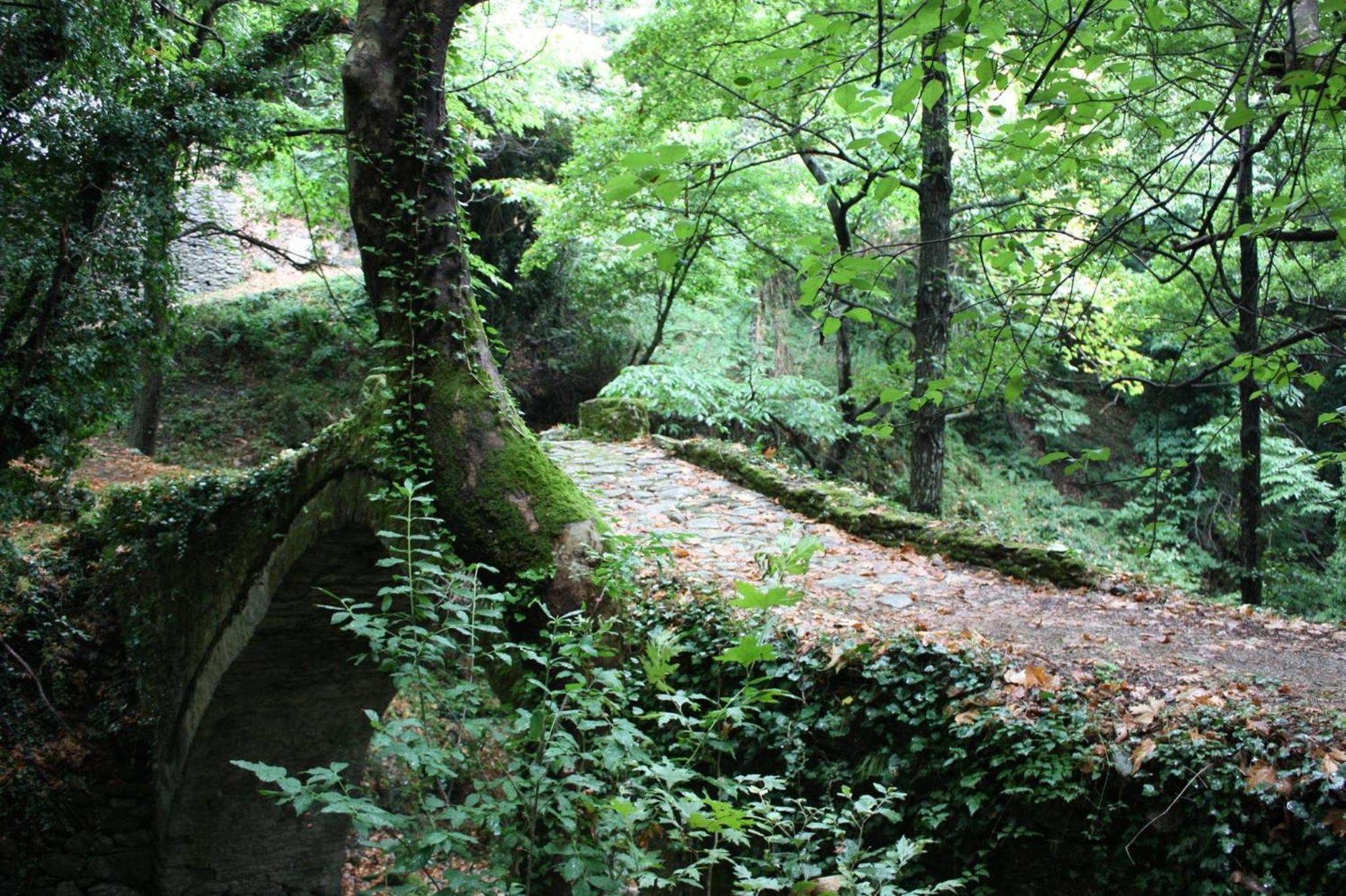 Photo 48