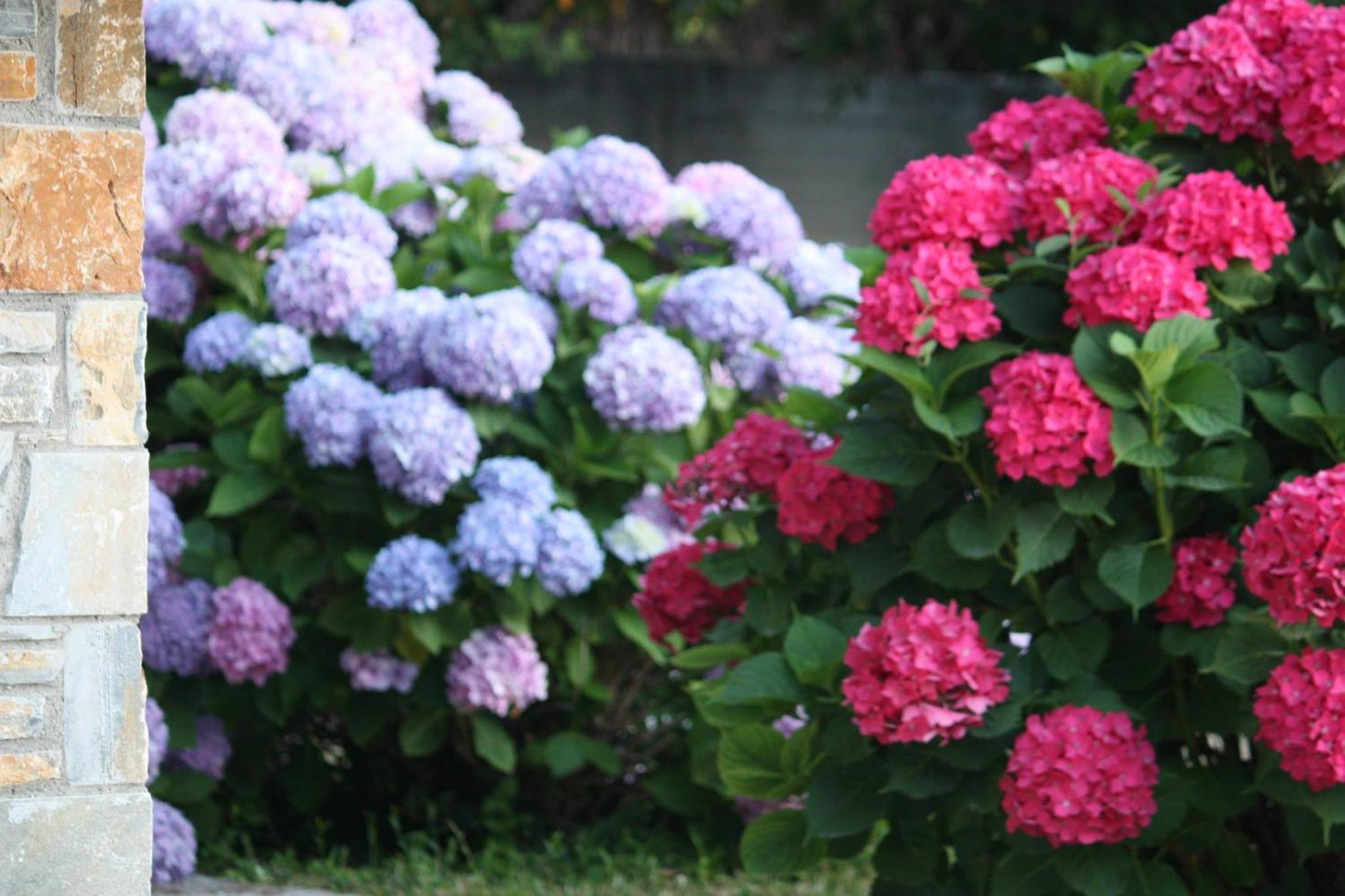 Photo 46