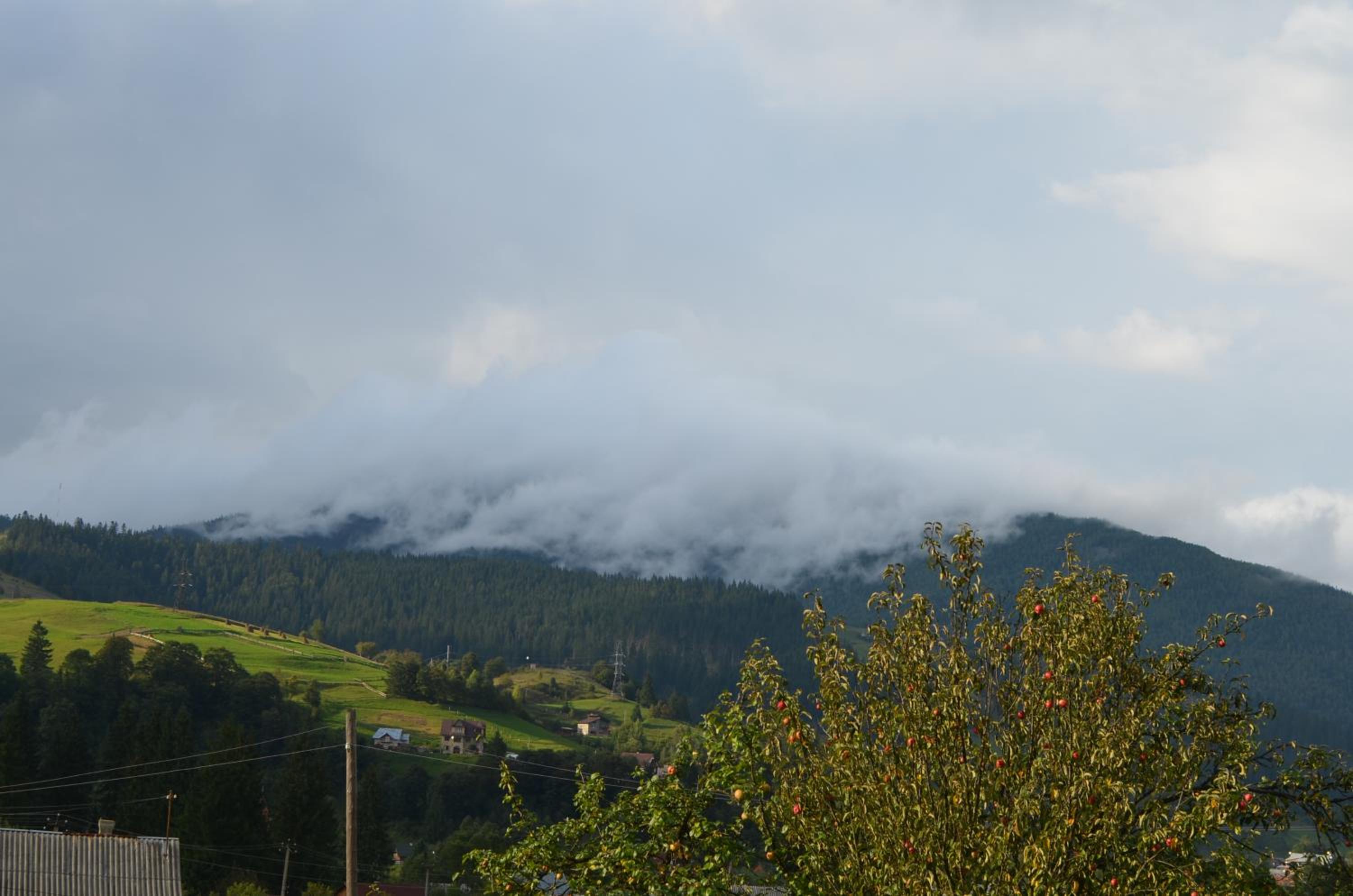 Гуцульська Спадщина view 3