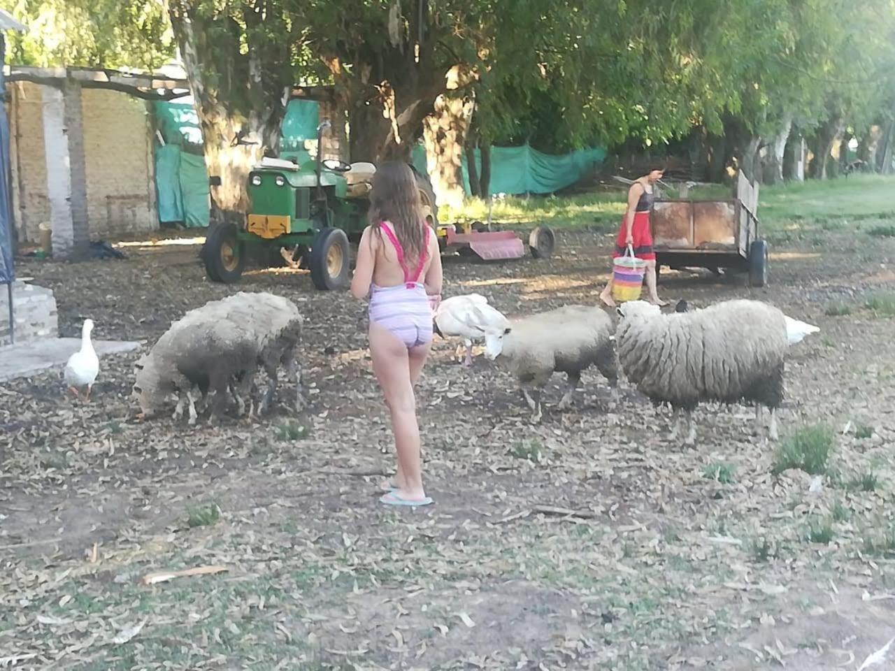 La Justina - Nuestro Campo