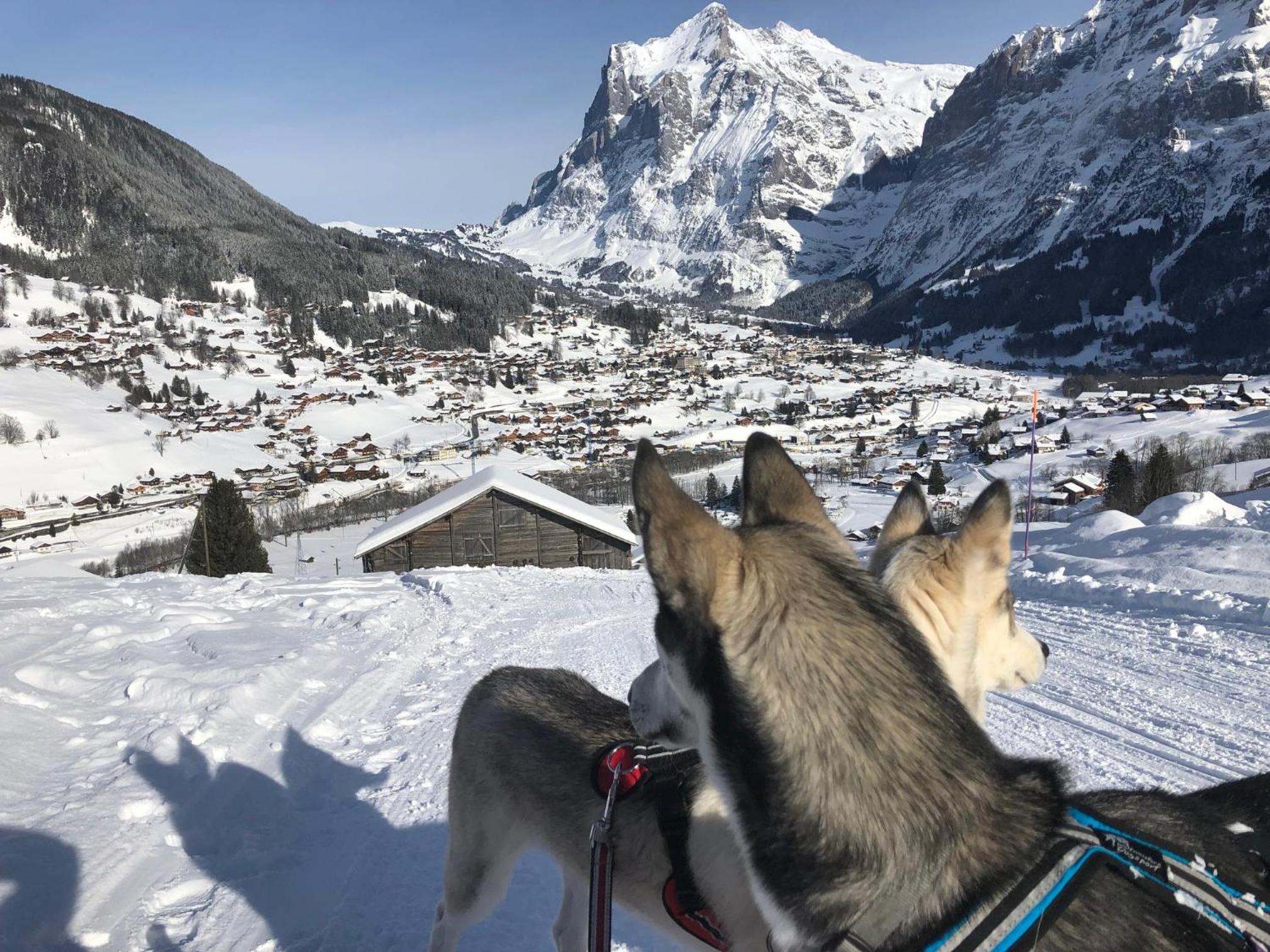 Chalet CARVE - Apartments EIGER, MOENCH and JUNGFRAU