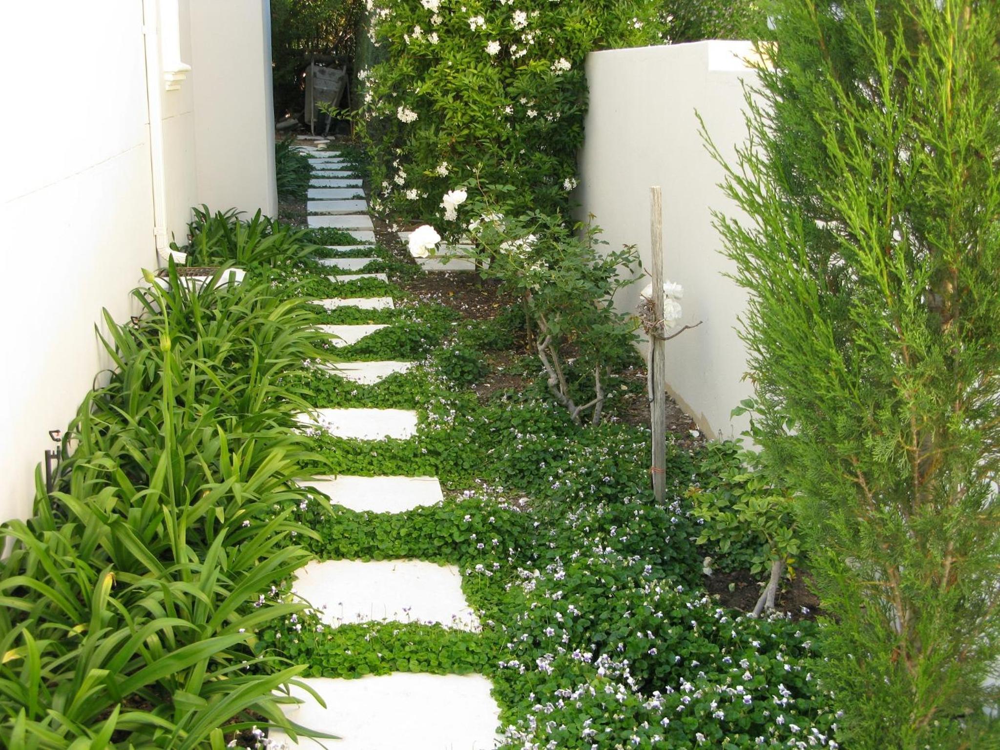 Maison d'Ail Guest House