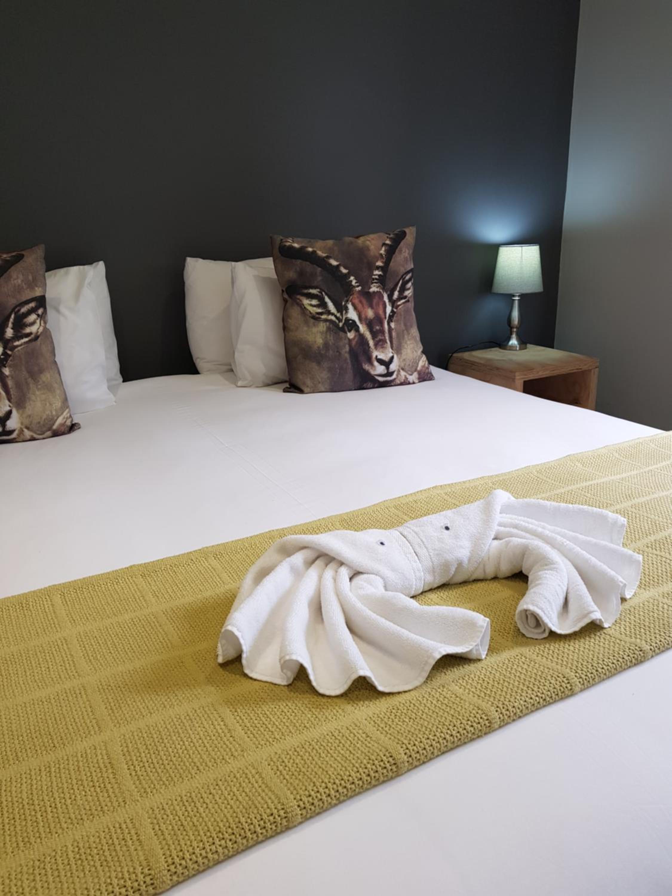 Two Fat Owls Guesthouse